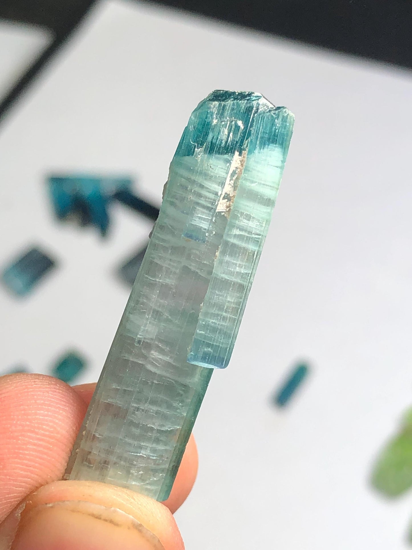 32 cts unique bi colour tourmaline crystal terminated