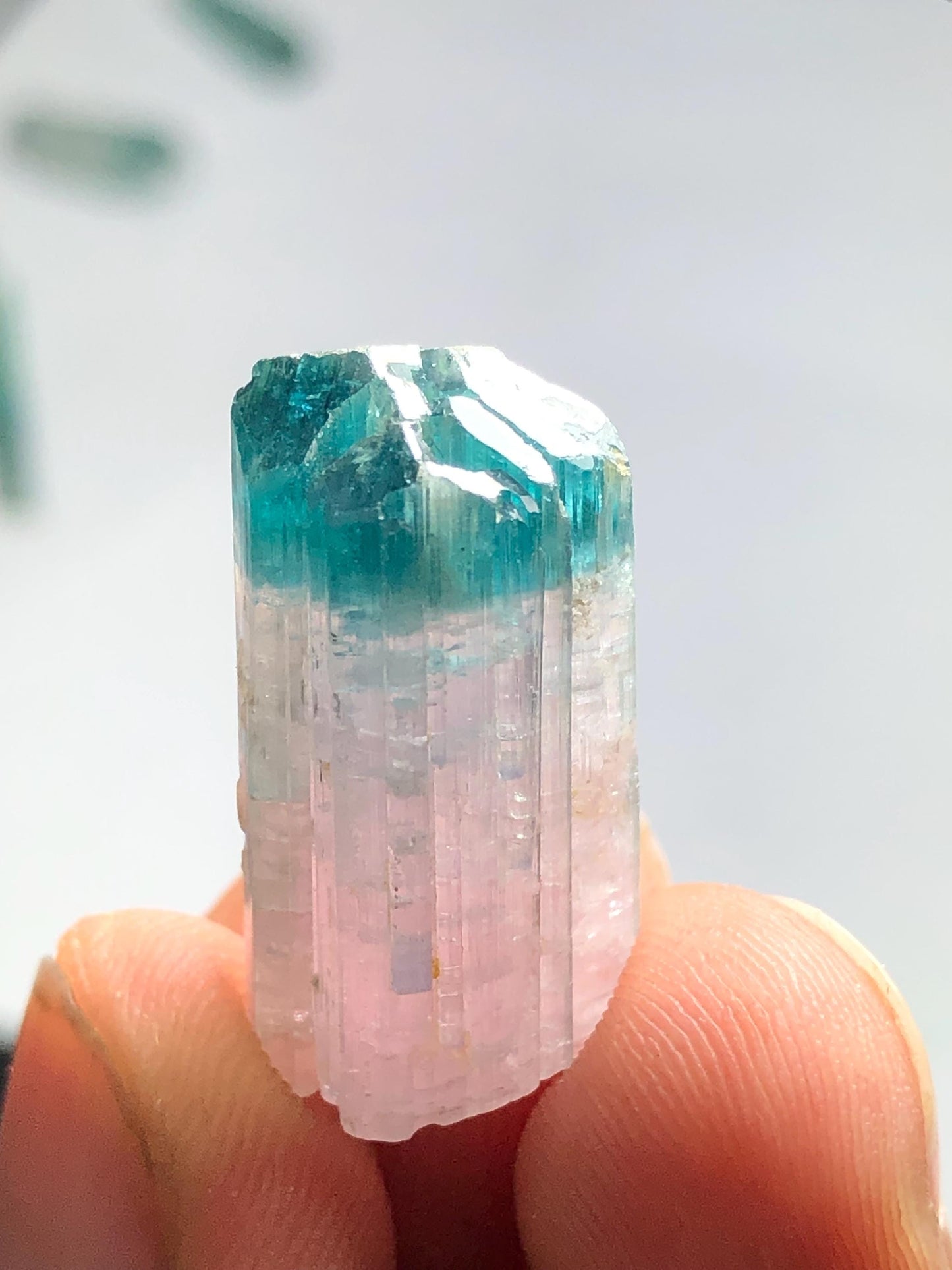 28.30 cts unique bi colour crystal terminated