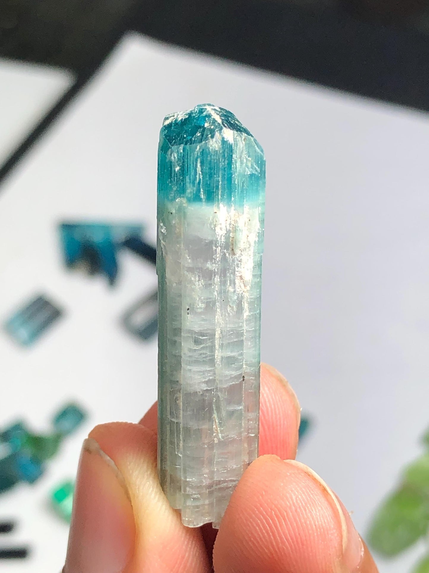 32 cts unique bi colour tourmaline crystal terminated