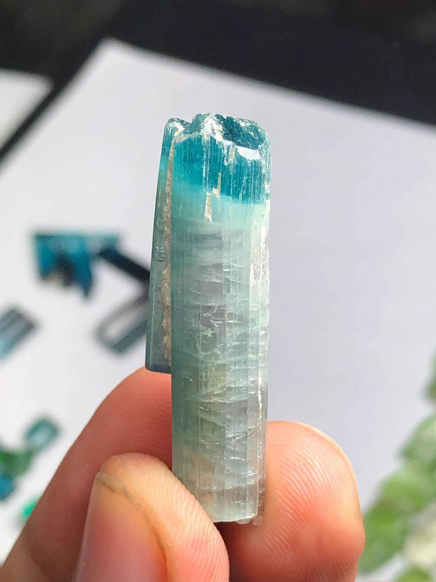 32 cts unique bi colour tourmaline crystal terminated