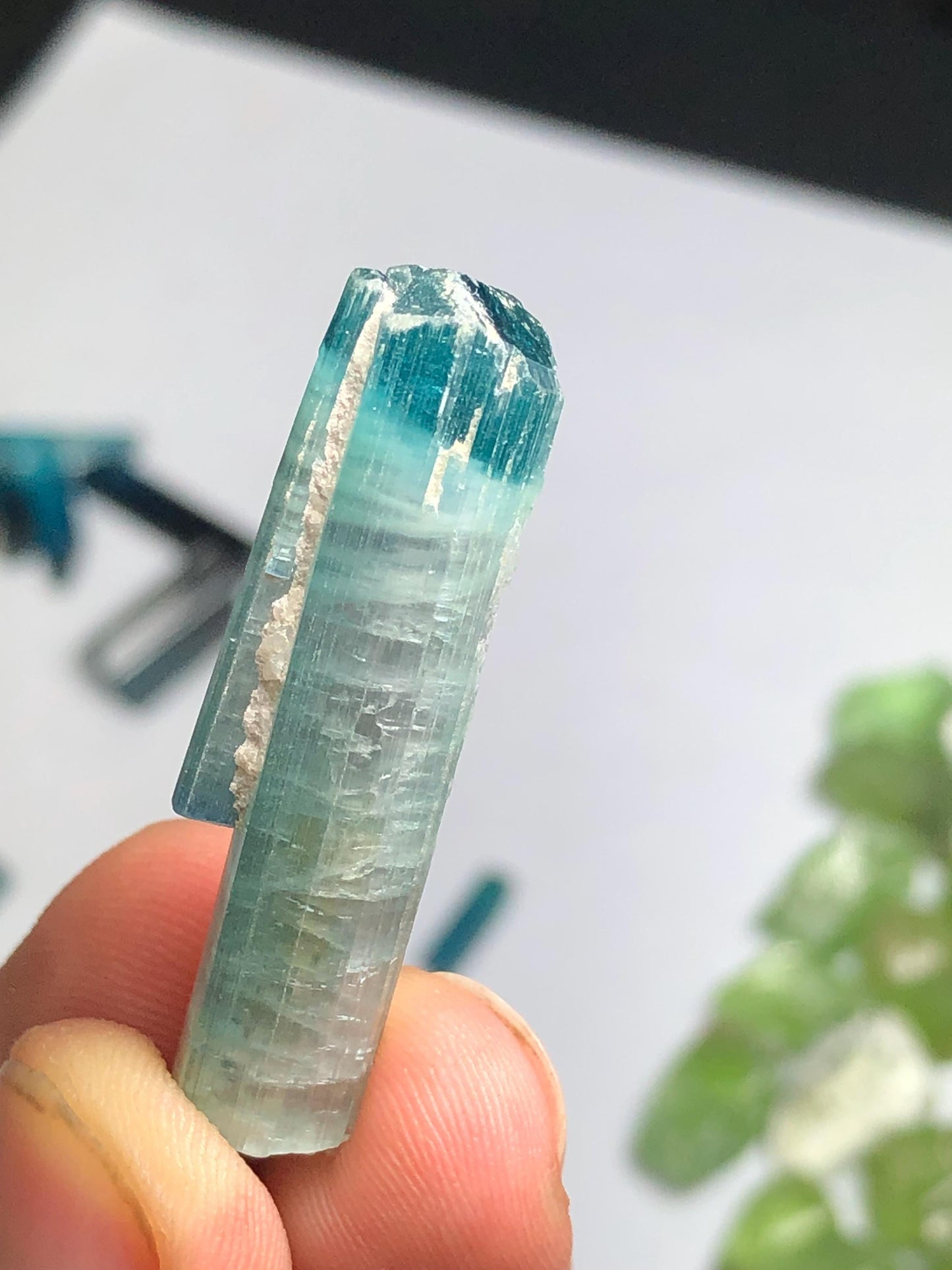 32 cts unique bi colour tourmaline crystal terminated