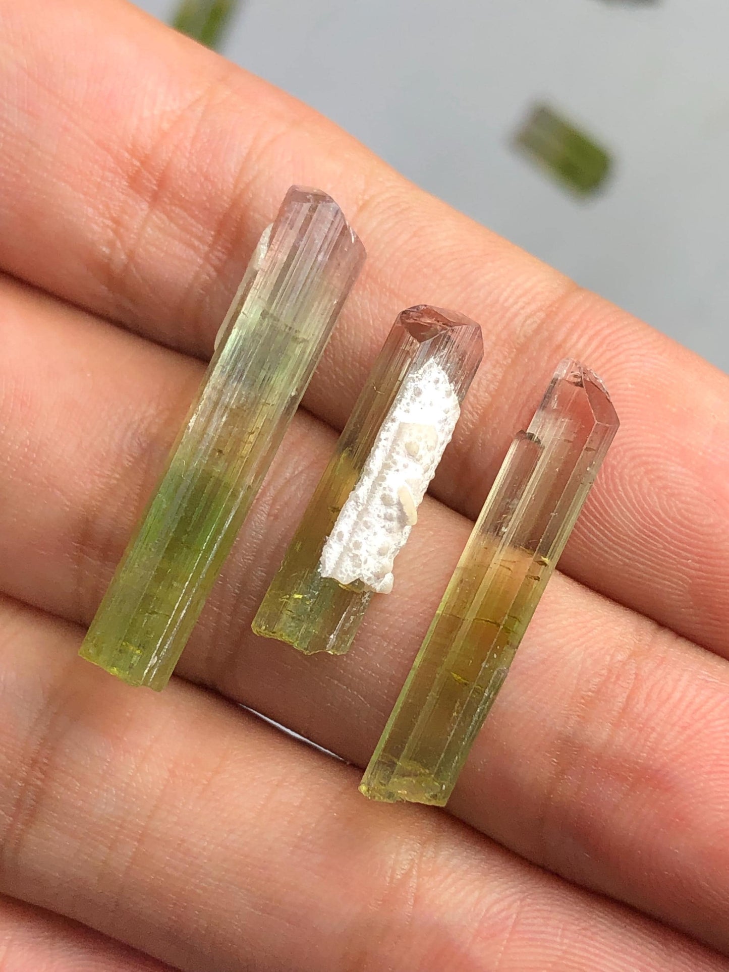 22 carats bi colour tourmaline crystals