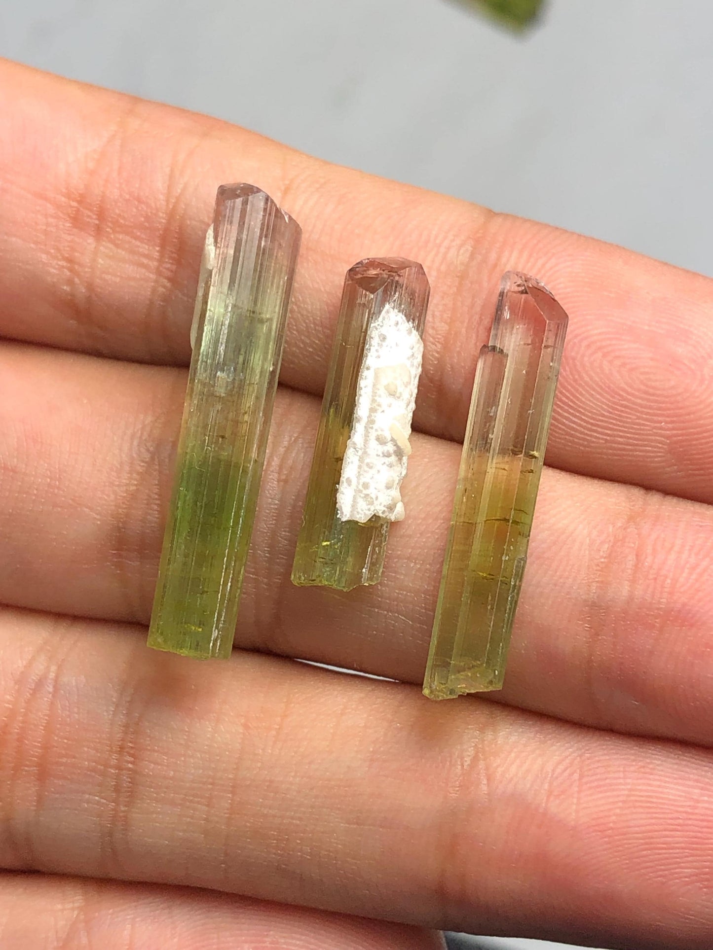 22 carats bi colour tourmaline crystals