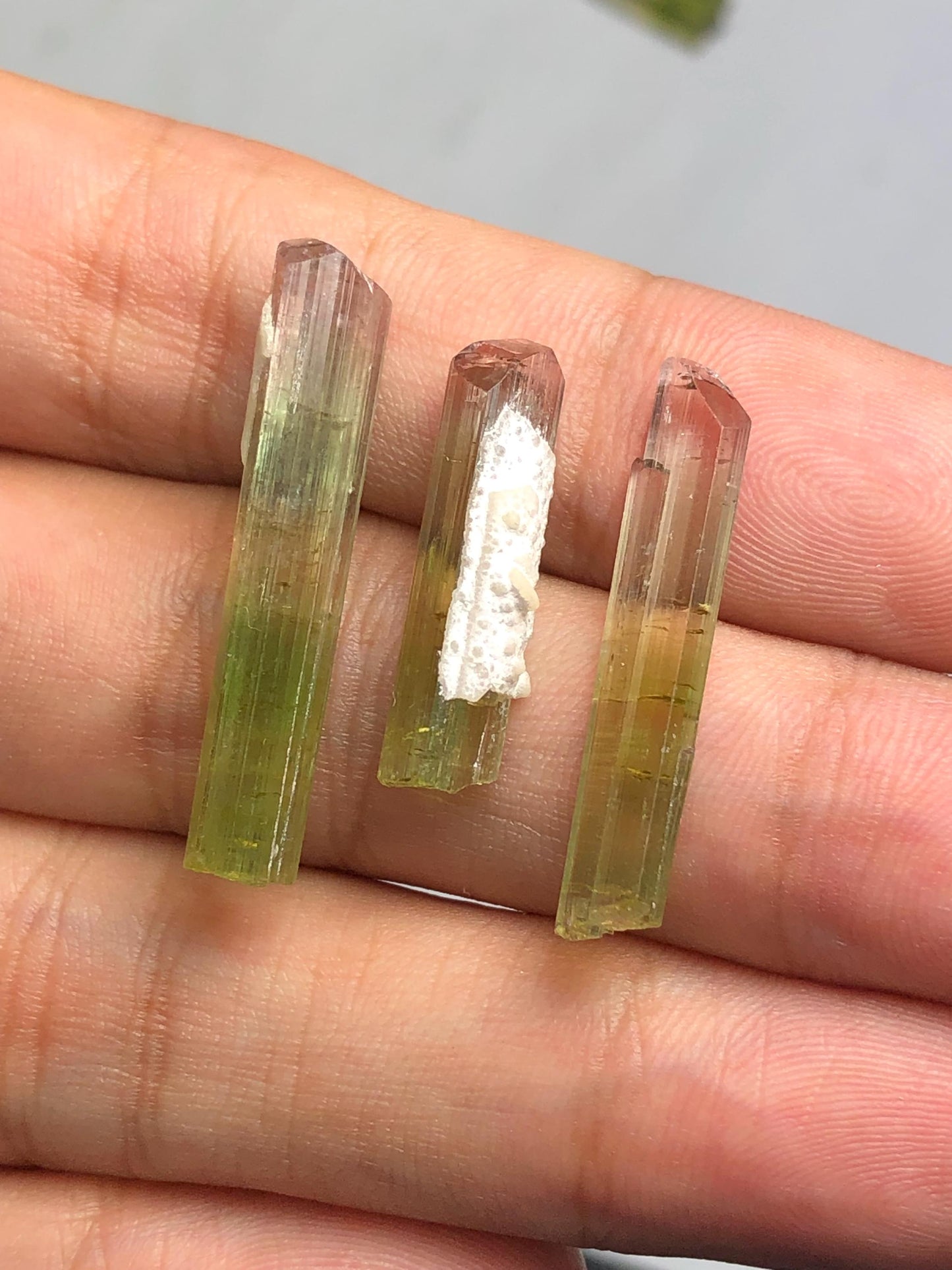 22 carats bi colour tourmaline crystals