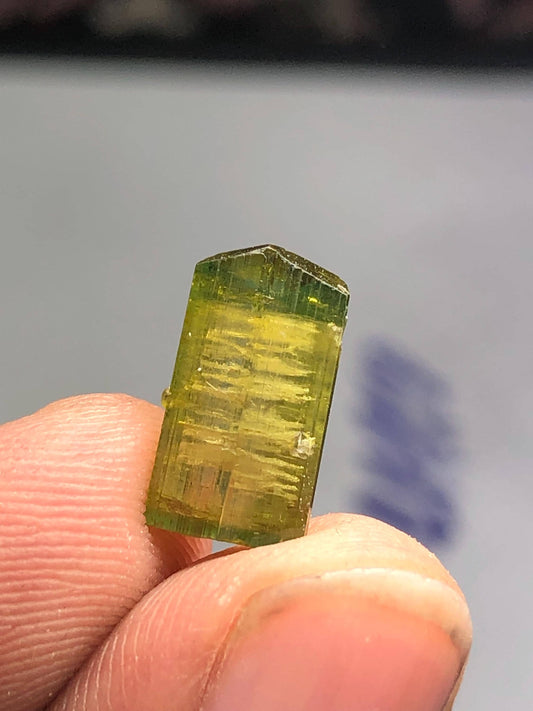 4 carat natural bi colour tourmaline crystal terminated