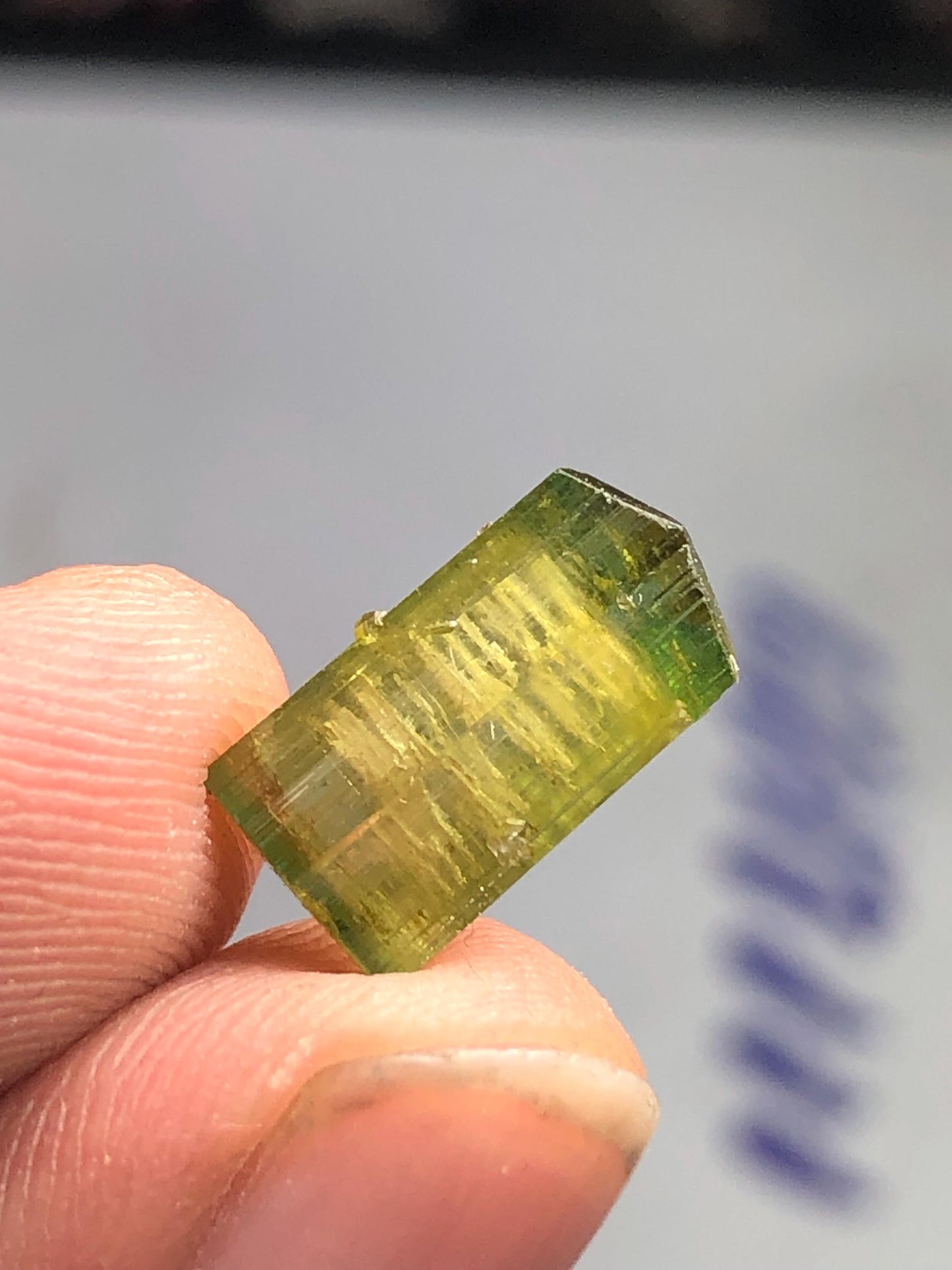 4 carat natural bi colour tourmaline crystal terminated