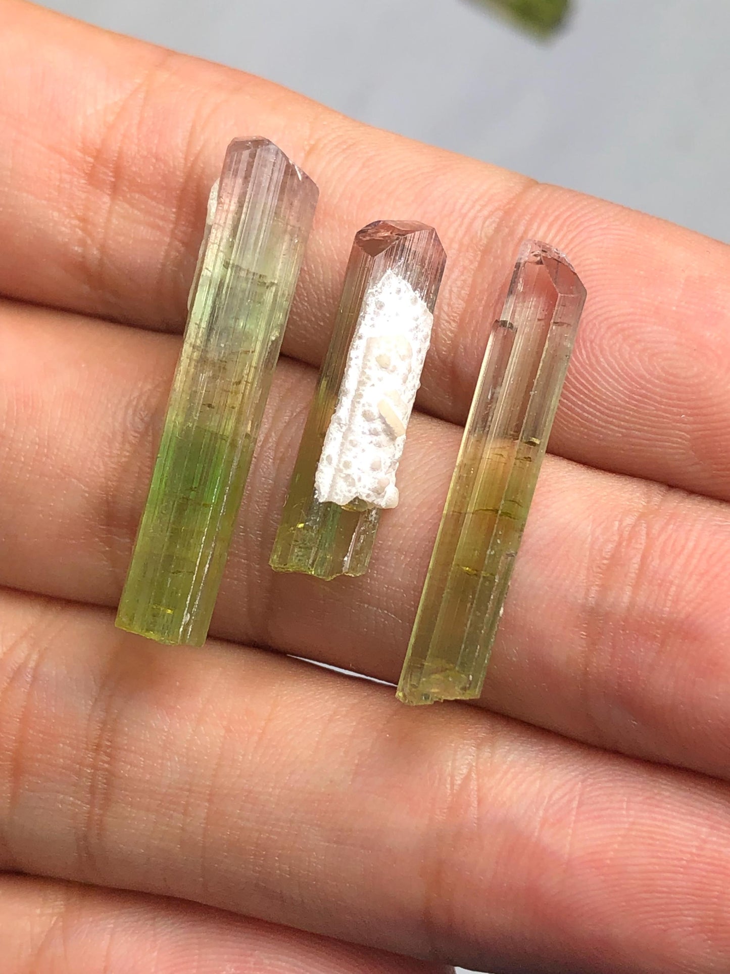 22 carats bi colour tourmaline crystals