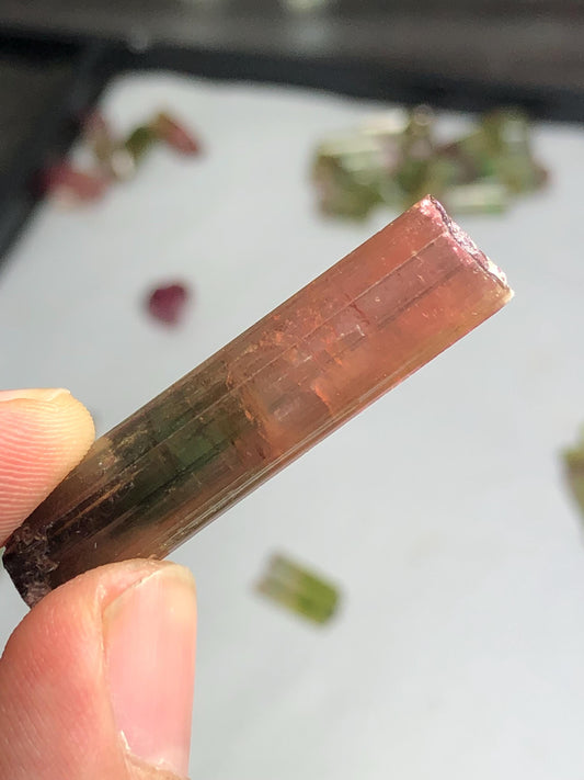 33 carat bi colour tourmaline crystal