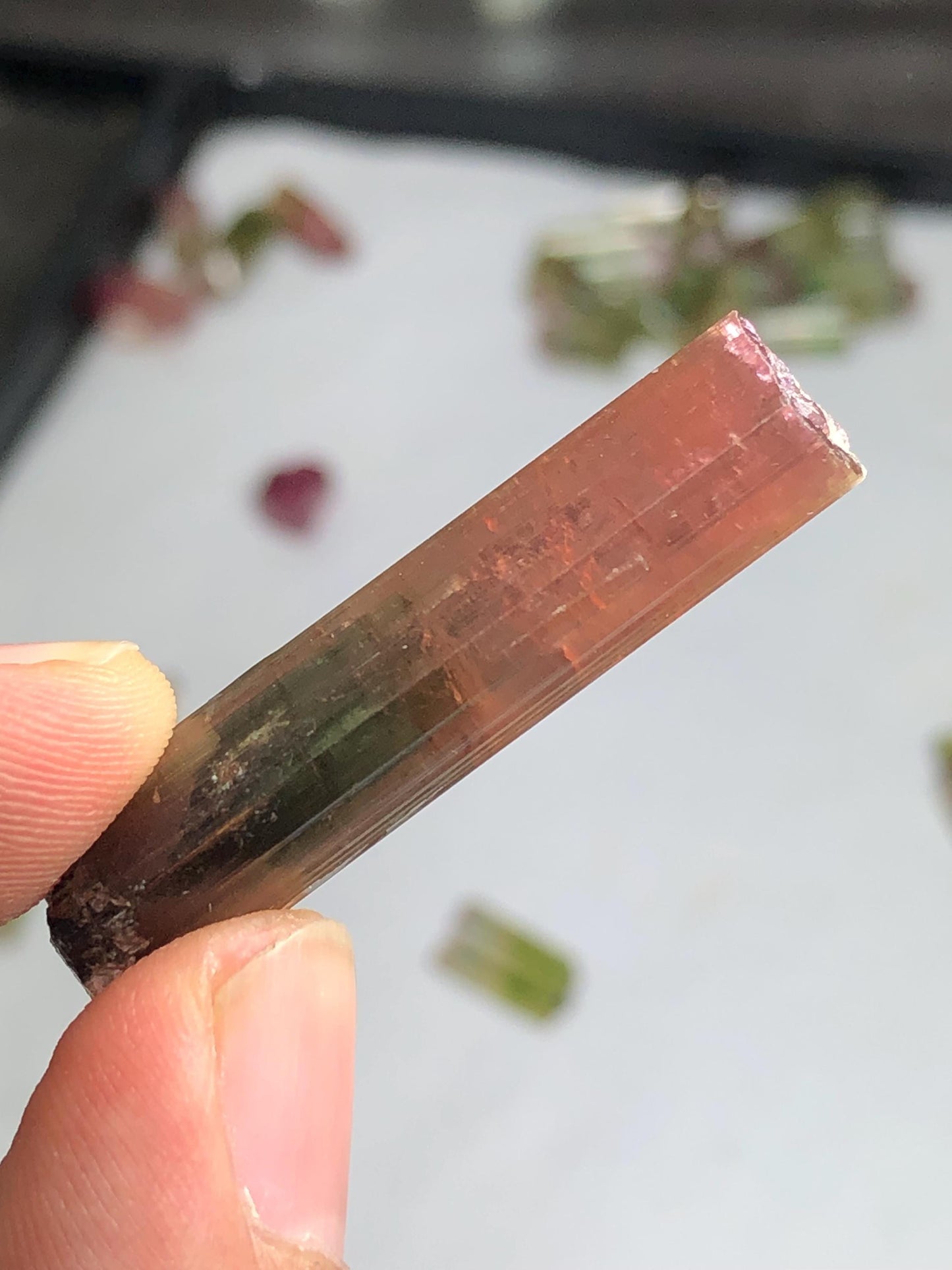 33 carat bi colour tourmaline crystal