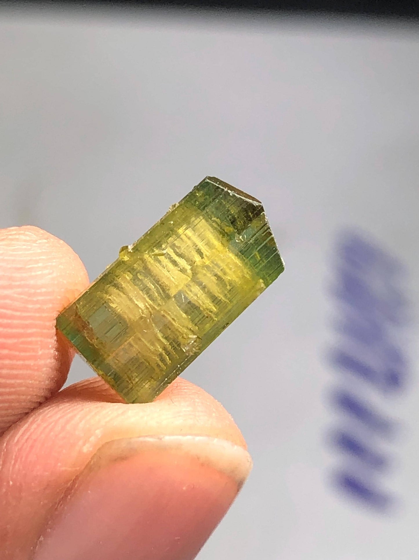 4 carat natural bi colour tourmaline crystal terminated