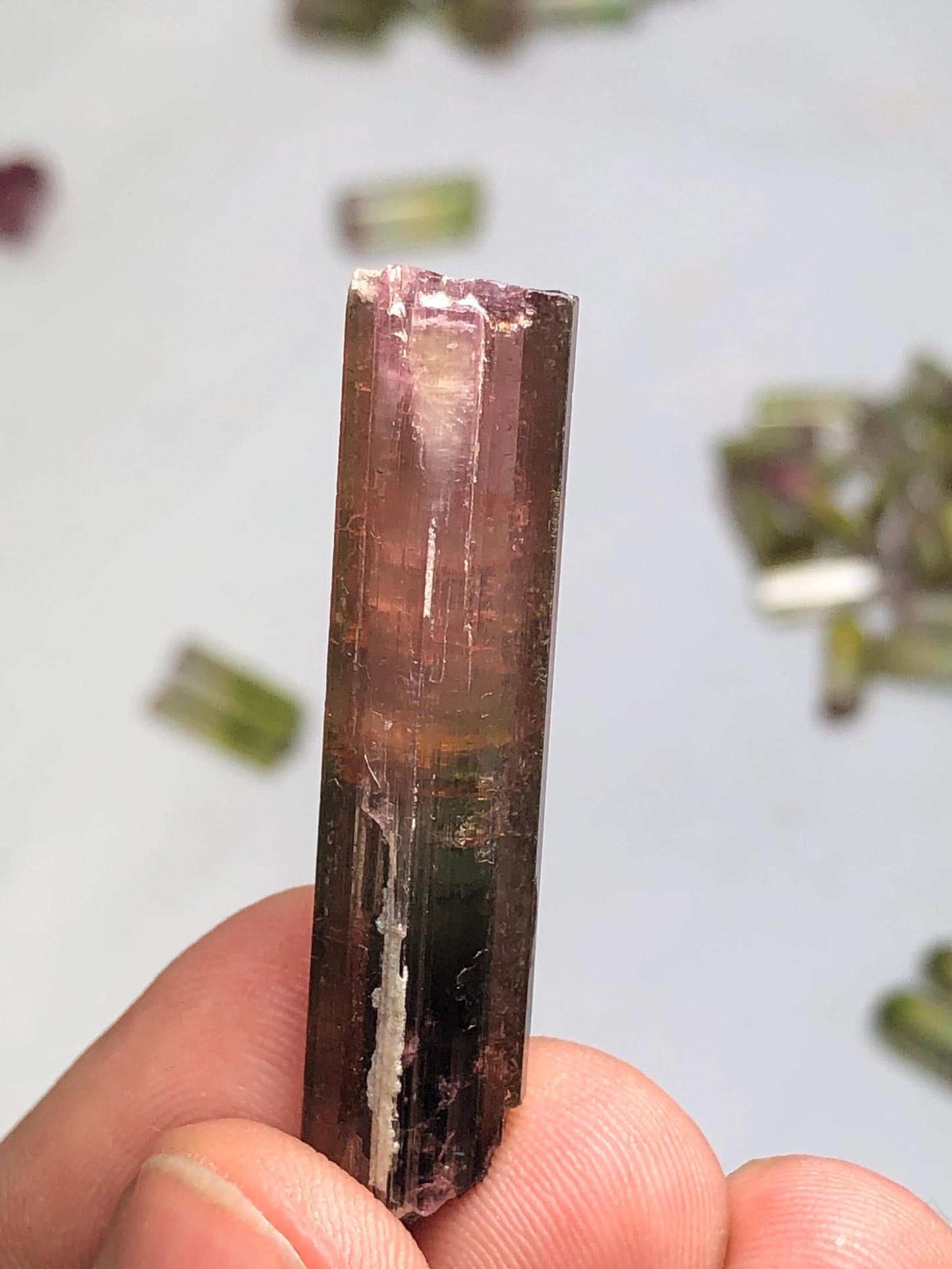 33 carat bi colour tourmaline crystal