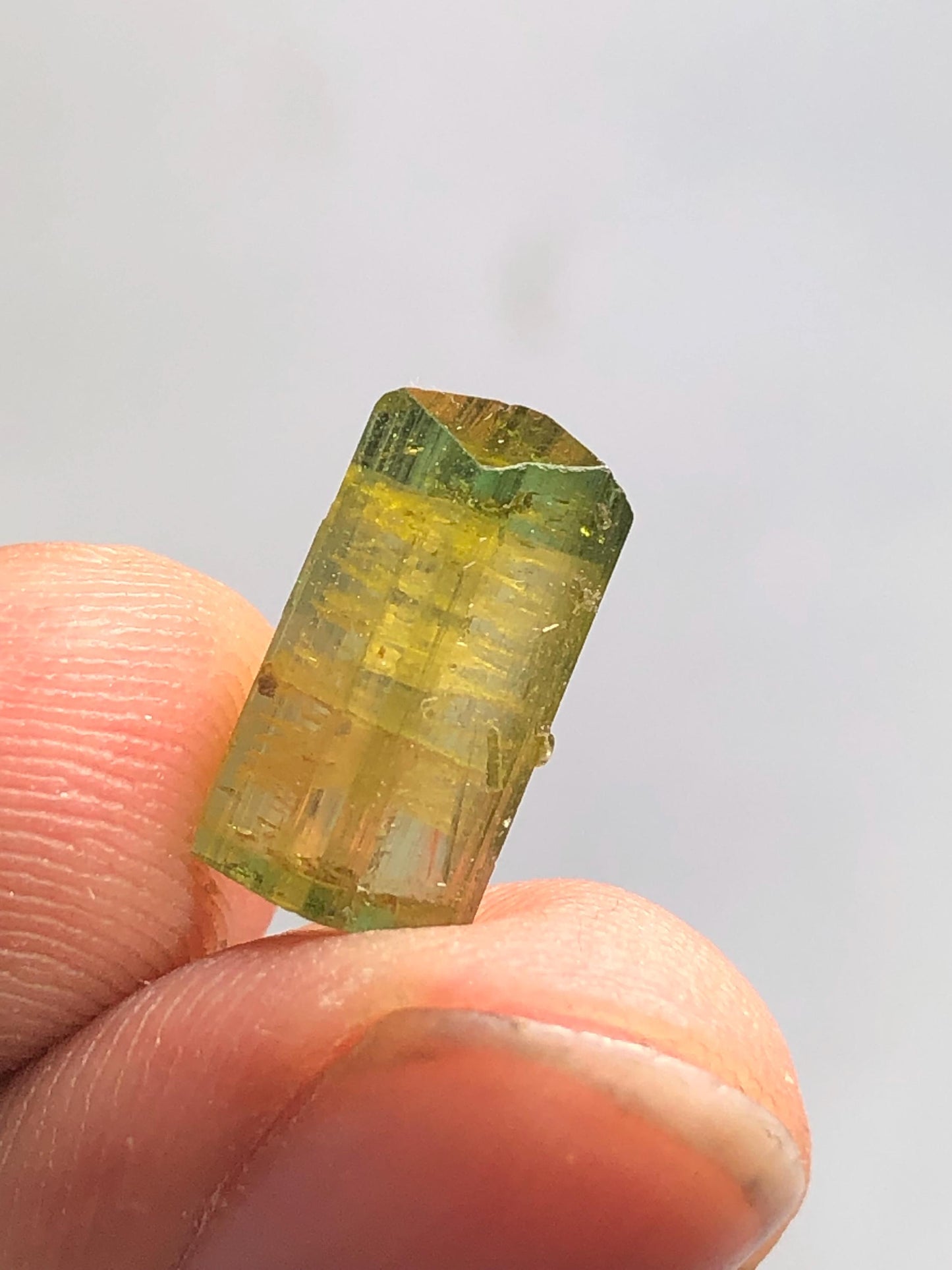 4 carat natural bi colour tourmaline crystal terminated