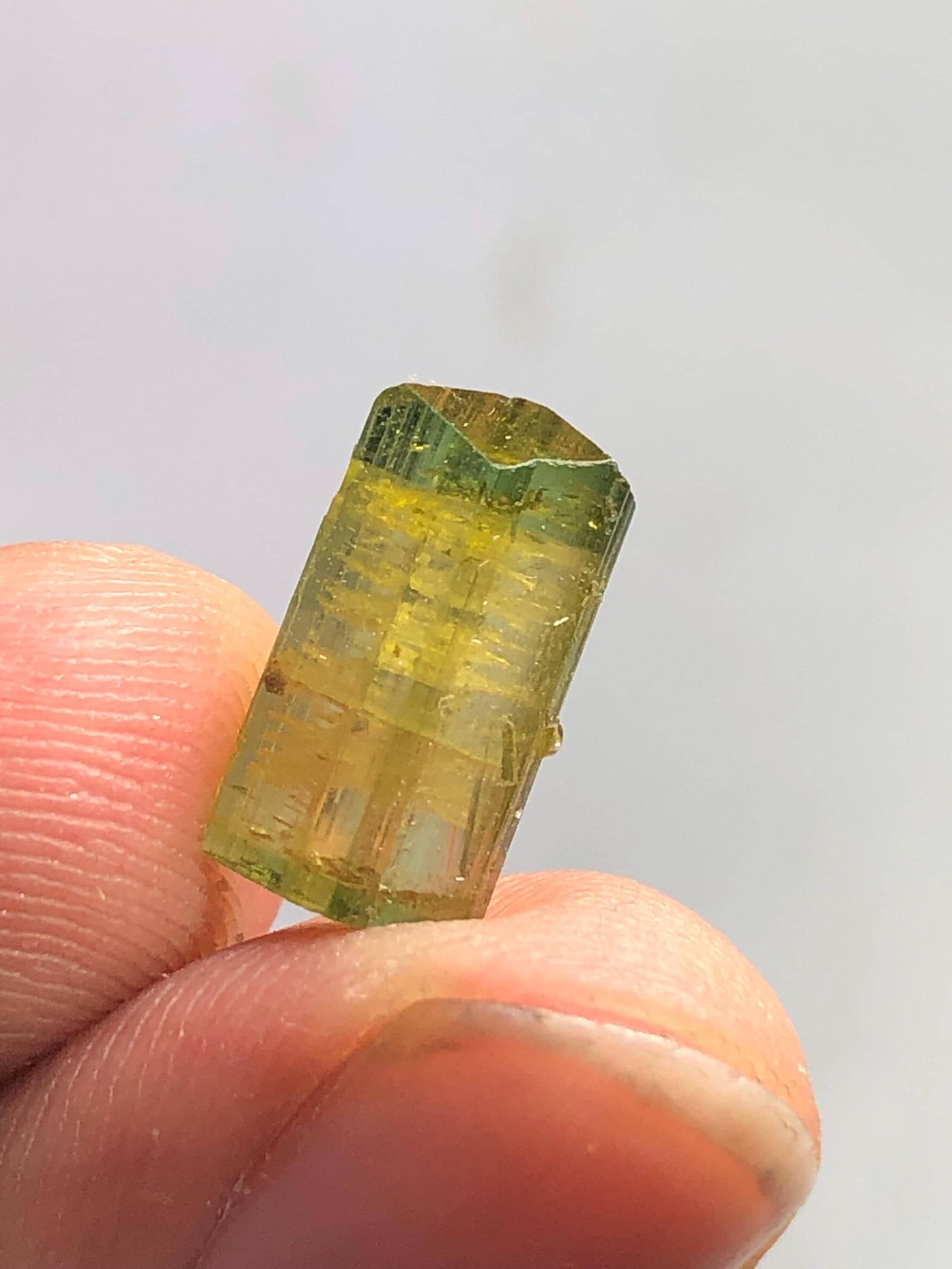 4 carat natural bi colour tourmaline crystal terminated