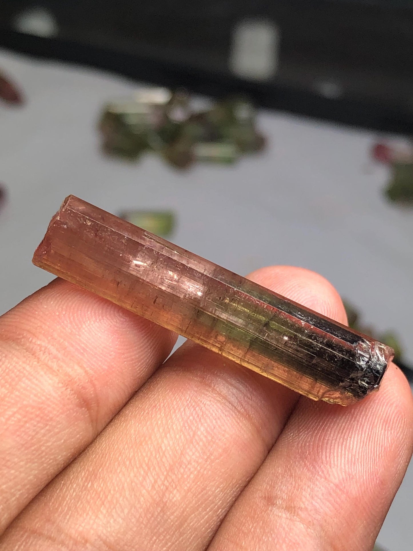 33 carat bi colour tourmaline crystal