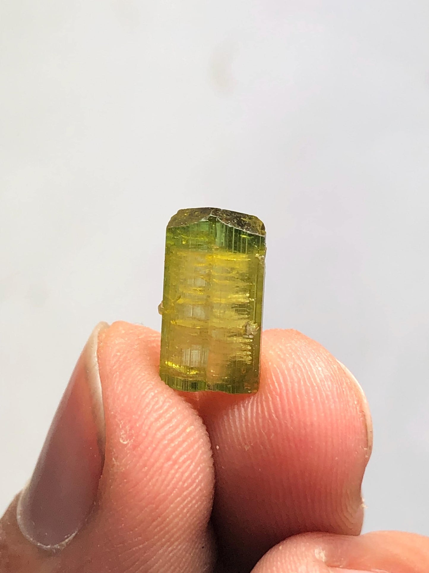 4 carat natural bi colour tourmaline crystal terminated