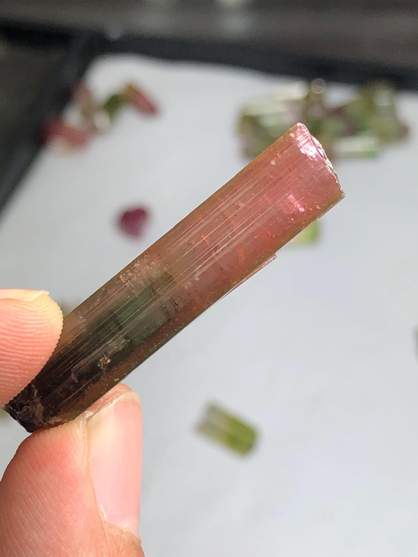 33 carat bi colour tourmaline crystal