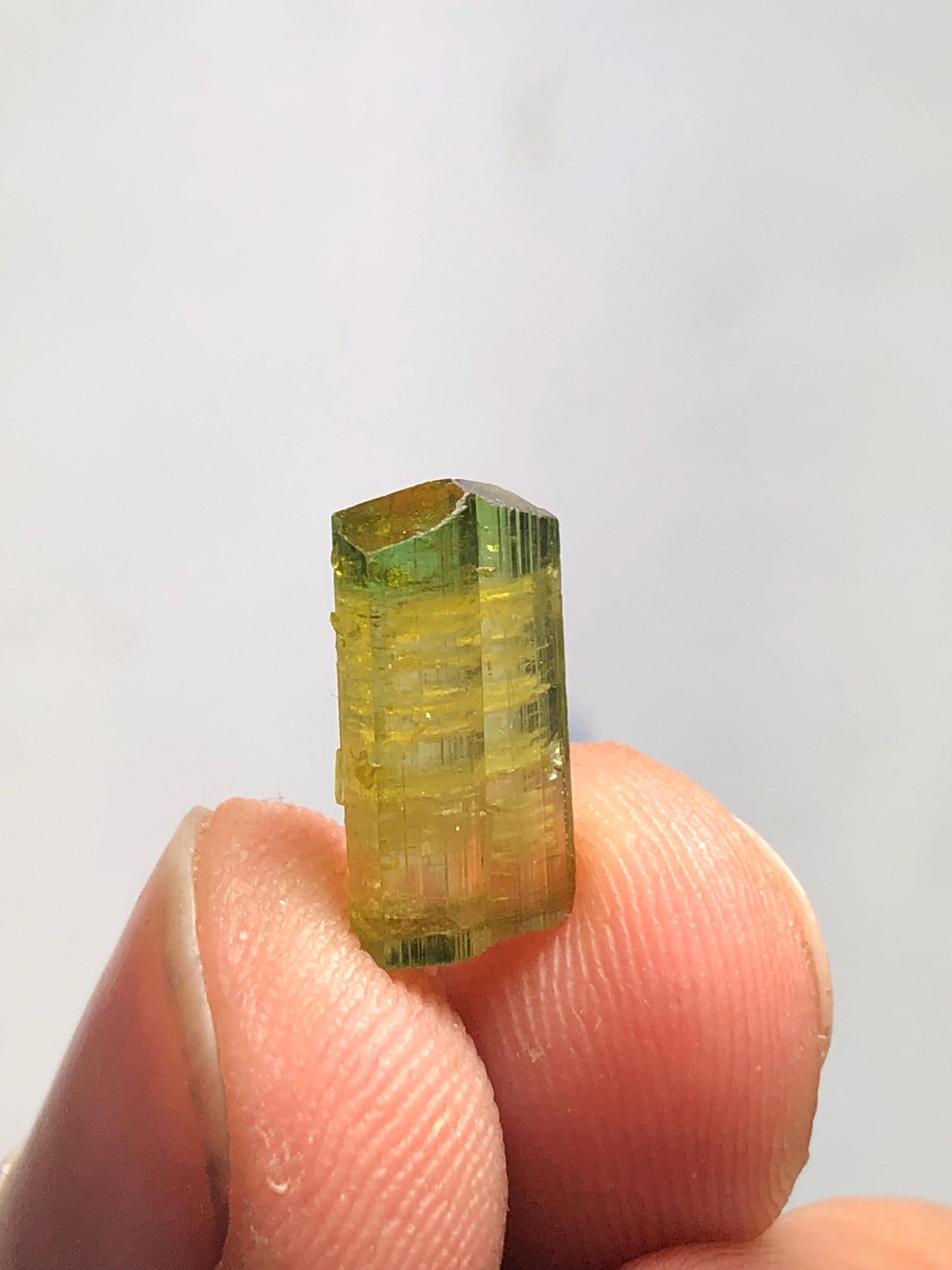 4 carat natural bi colour tourmaline crystal terminated