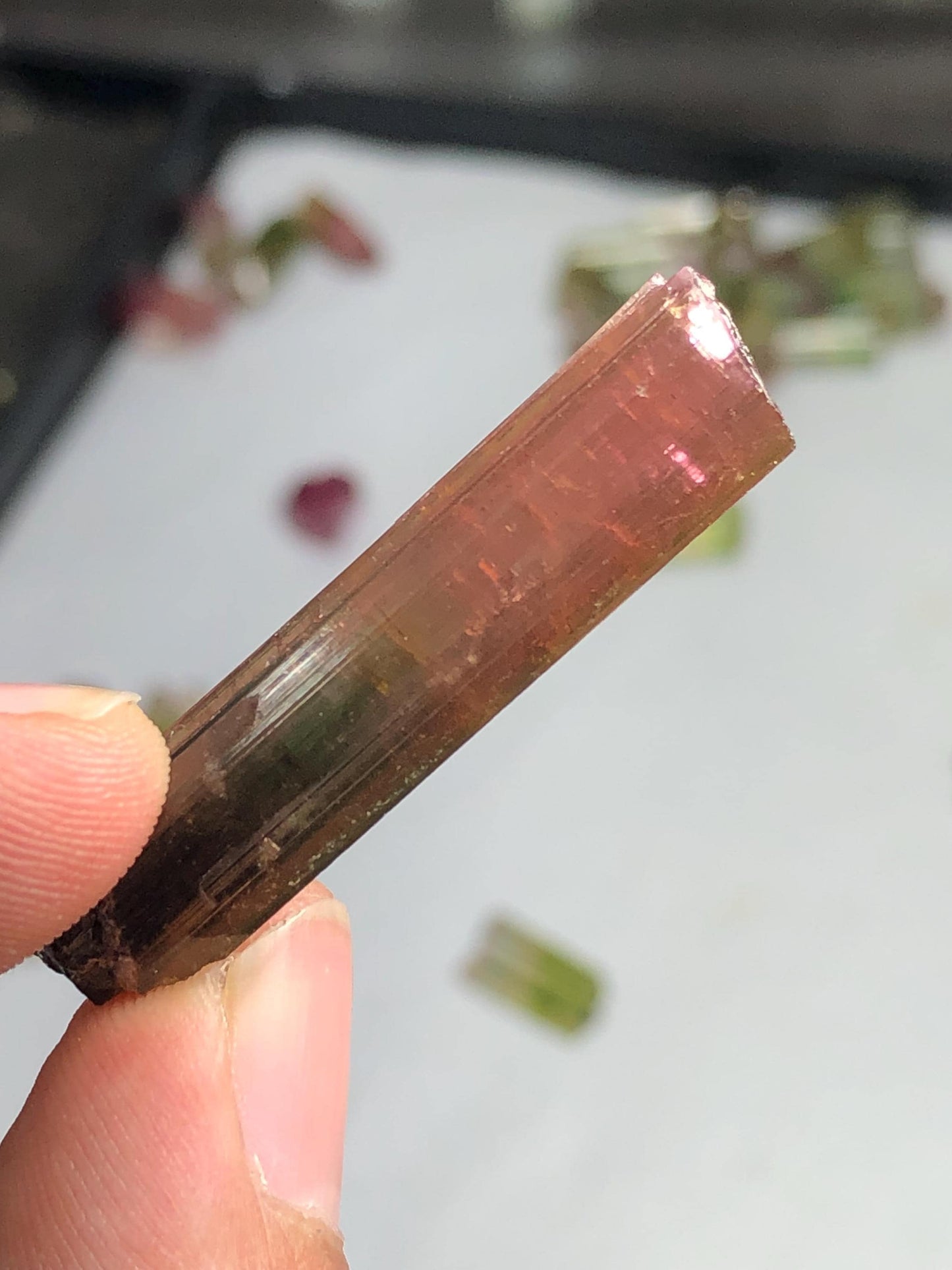 33 carat bi colour tourmaline crystal