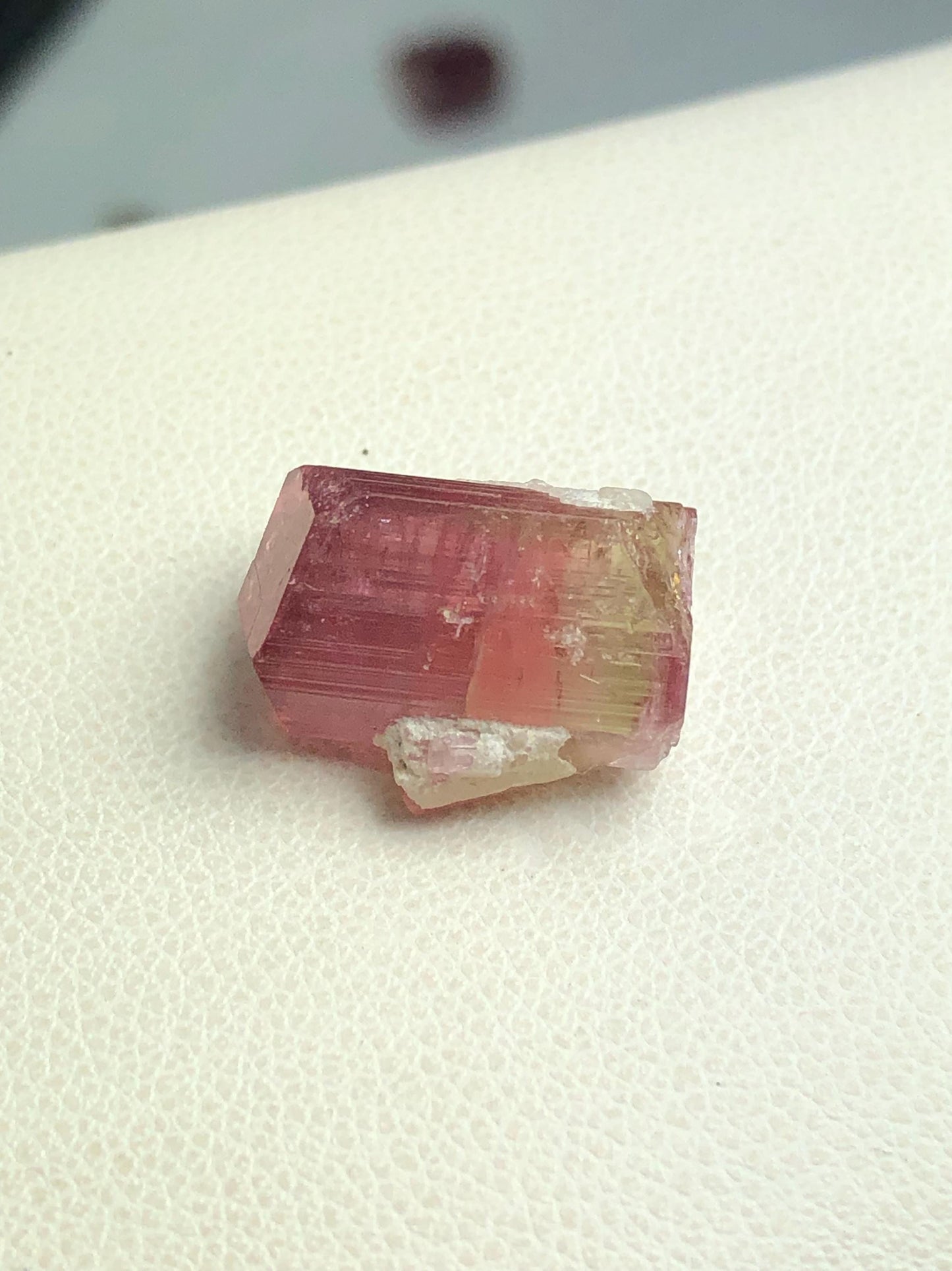 14 carat watermelon tourmaline crystal terminated