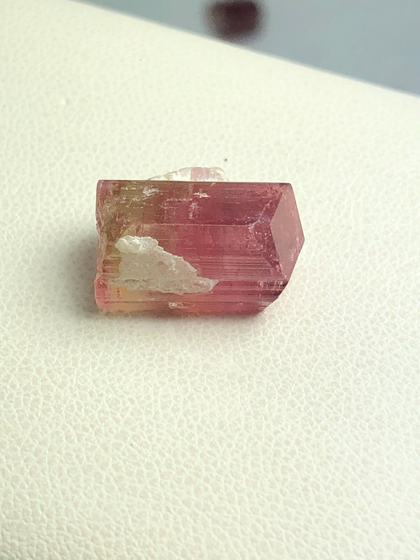 14 carat watermelon tourmaline crystal terminated