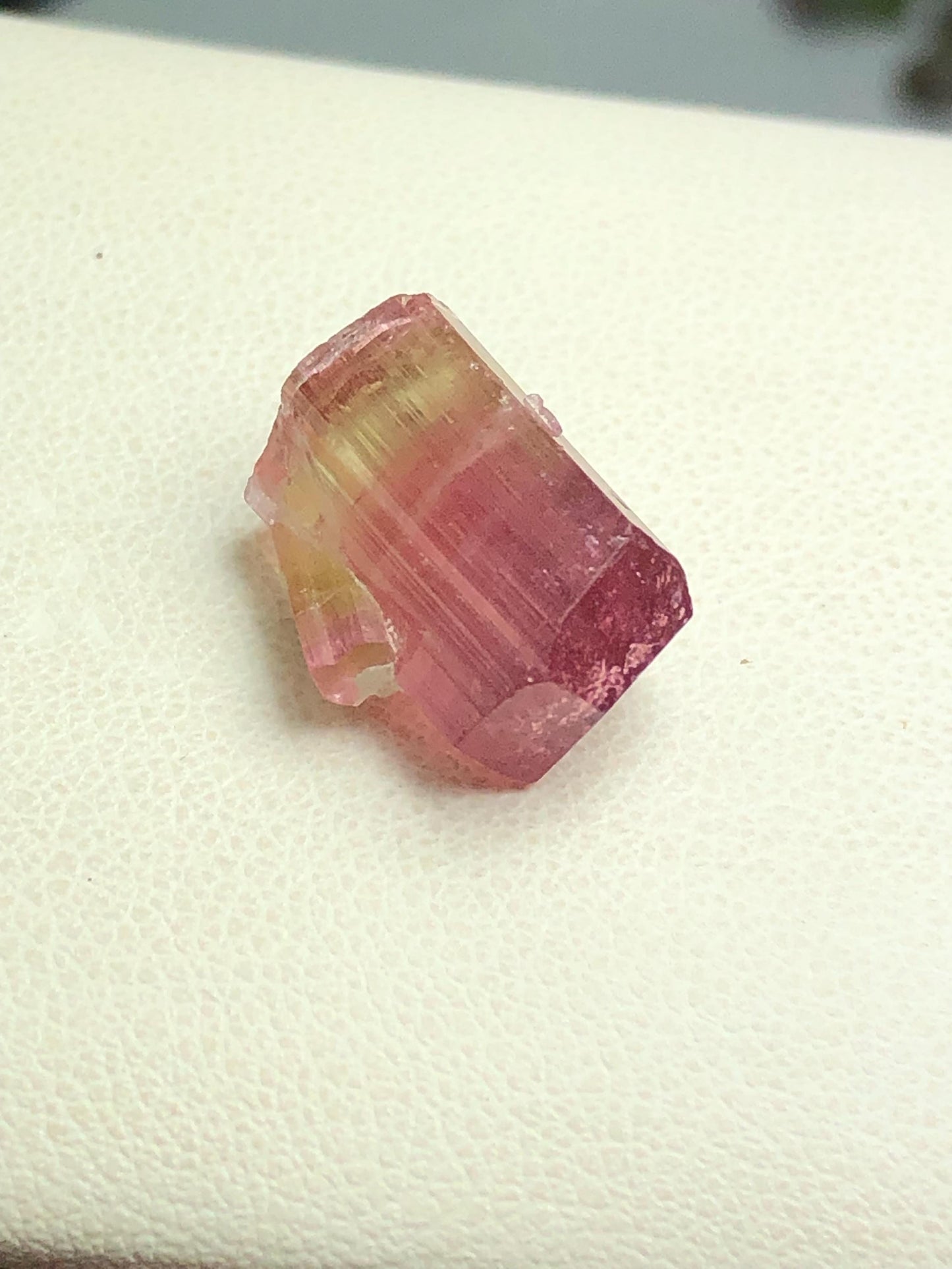 14 carat watermelon tourmaline crystal terminated