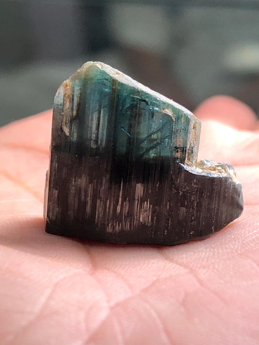 Tourmaline Crystal Specimen 31.00 ct – Natural Collector Mineral