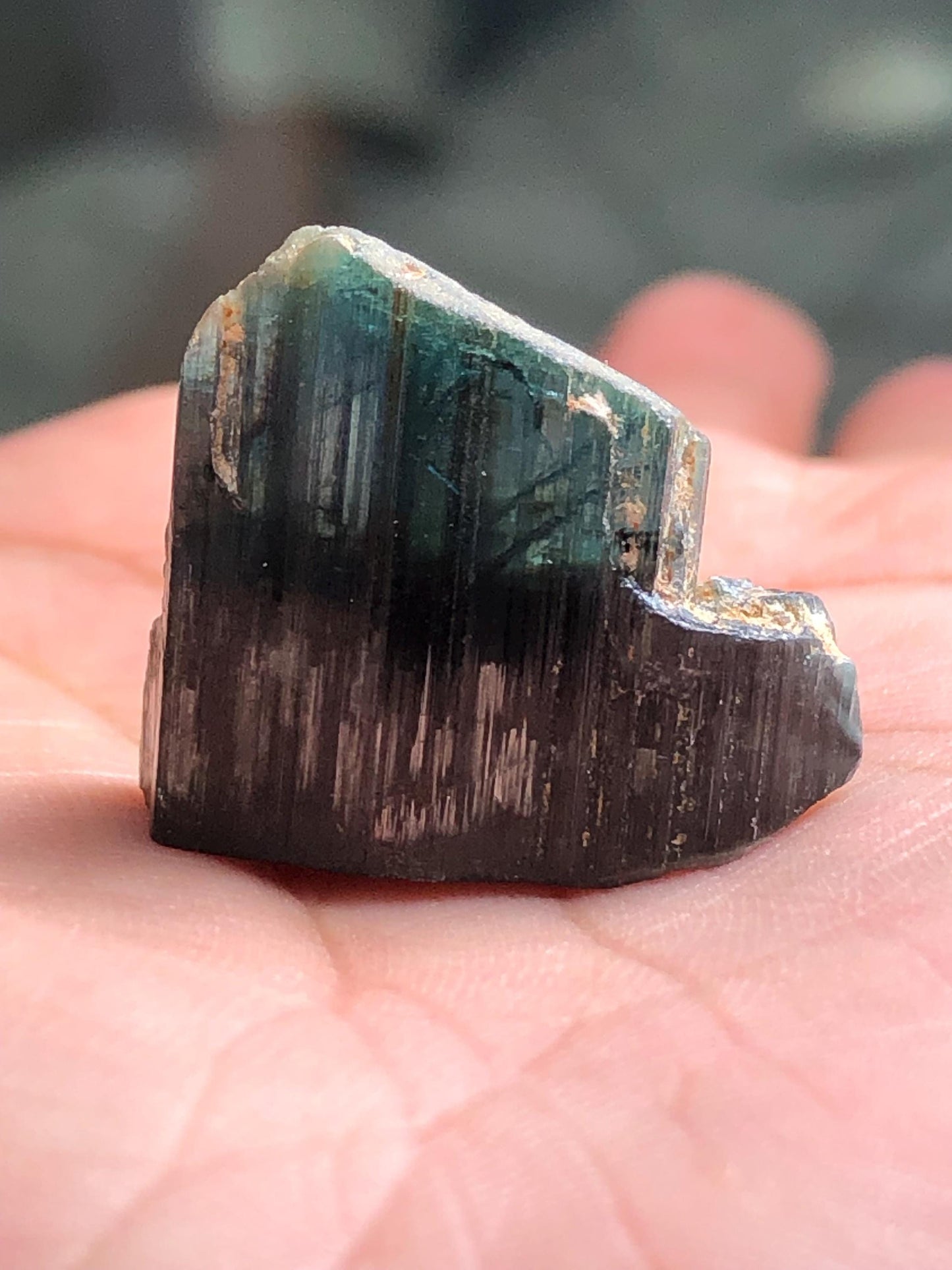 Tourmaline Crystal Specimen 31.00 ct – Natural Collector Mineral