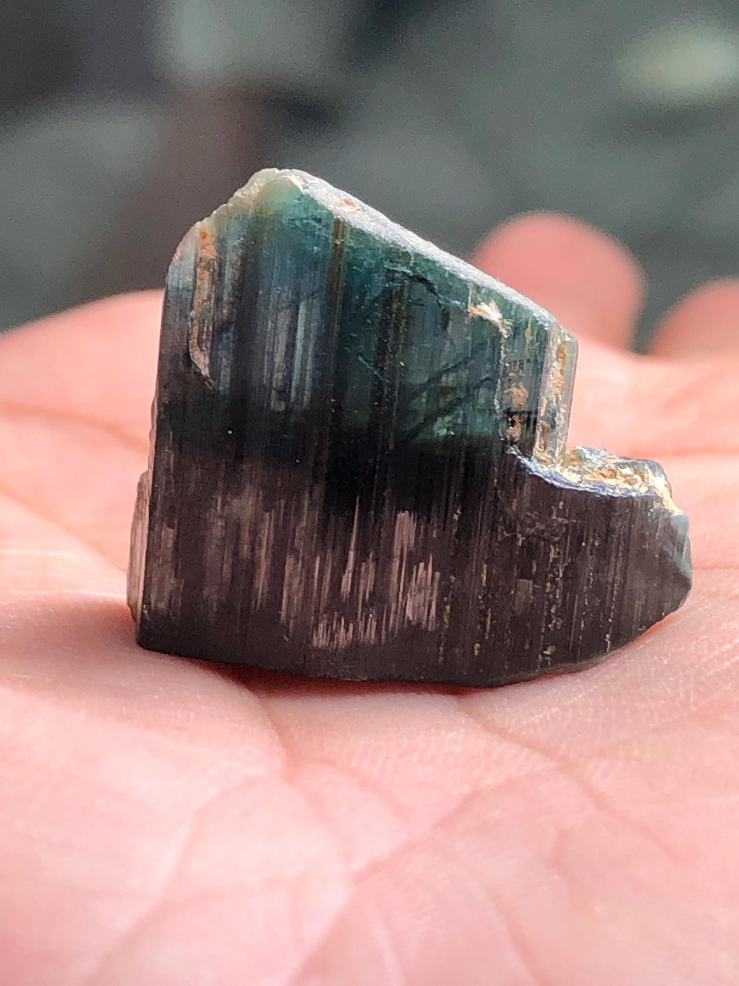 Tourmaline Crystal Specimen 31.00 ct – Natural Collector Mineral