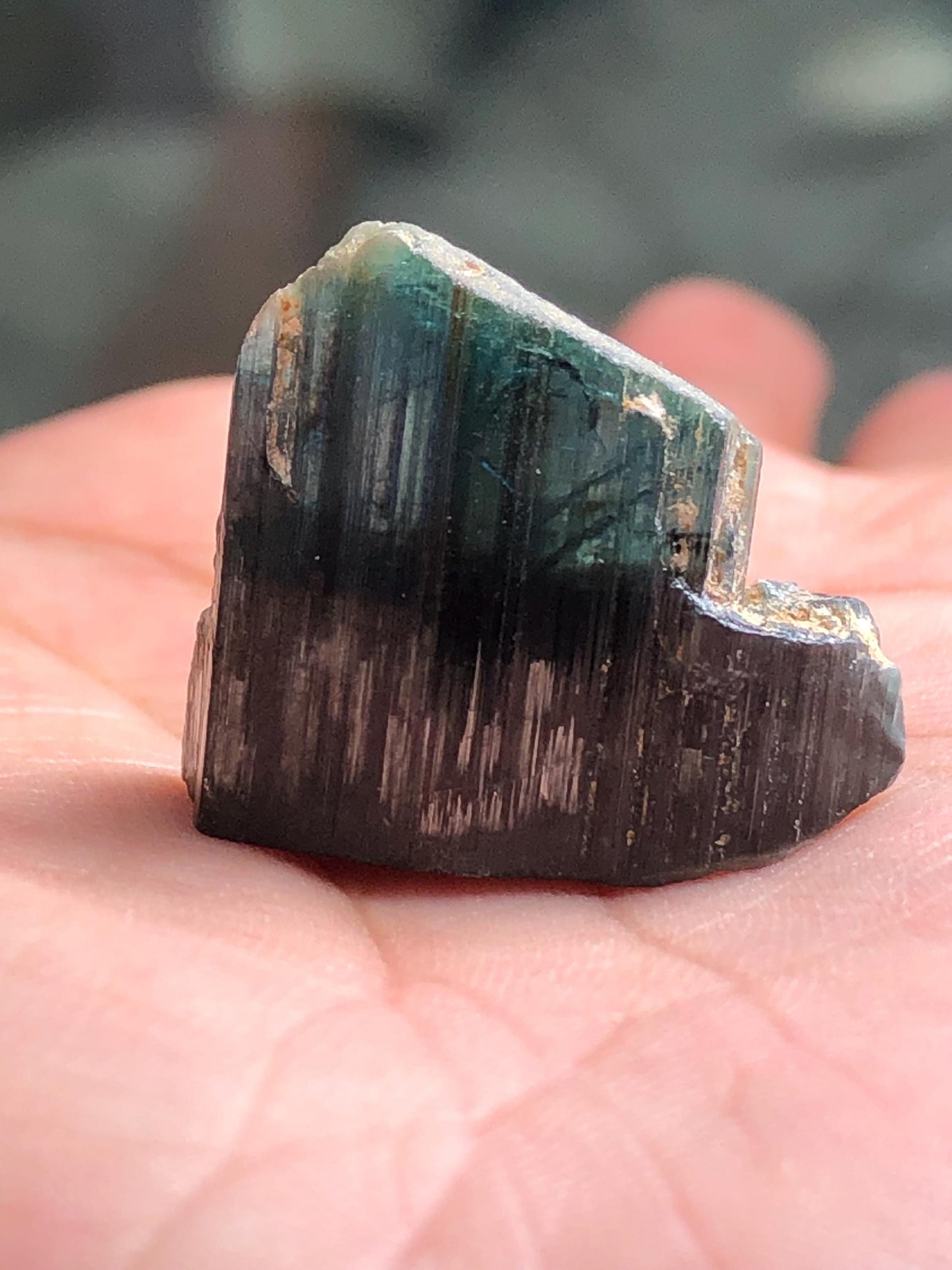Tourmaline Crystal Specimen 31.00 ct – Natural Collector Mineral