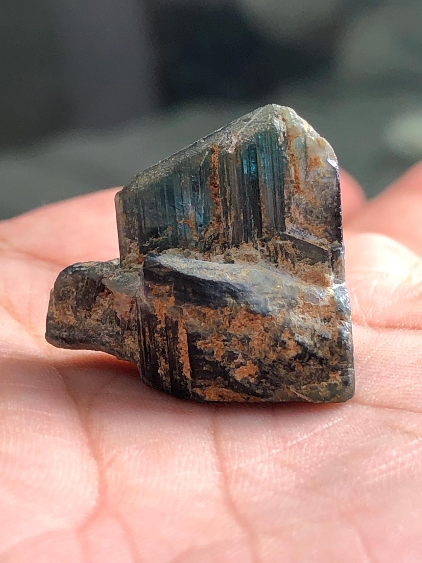 Tourmaline Crystal Specimen 31.00 ct – Natural Collector Mineral