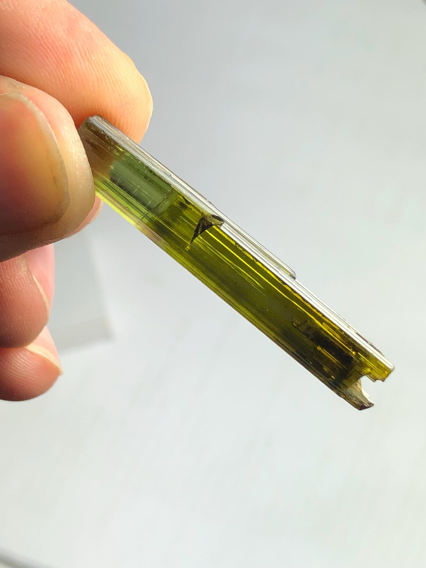 Olive Green Tourmaline Crystal 20 ct – Natural Terminated Gemstone