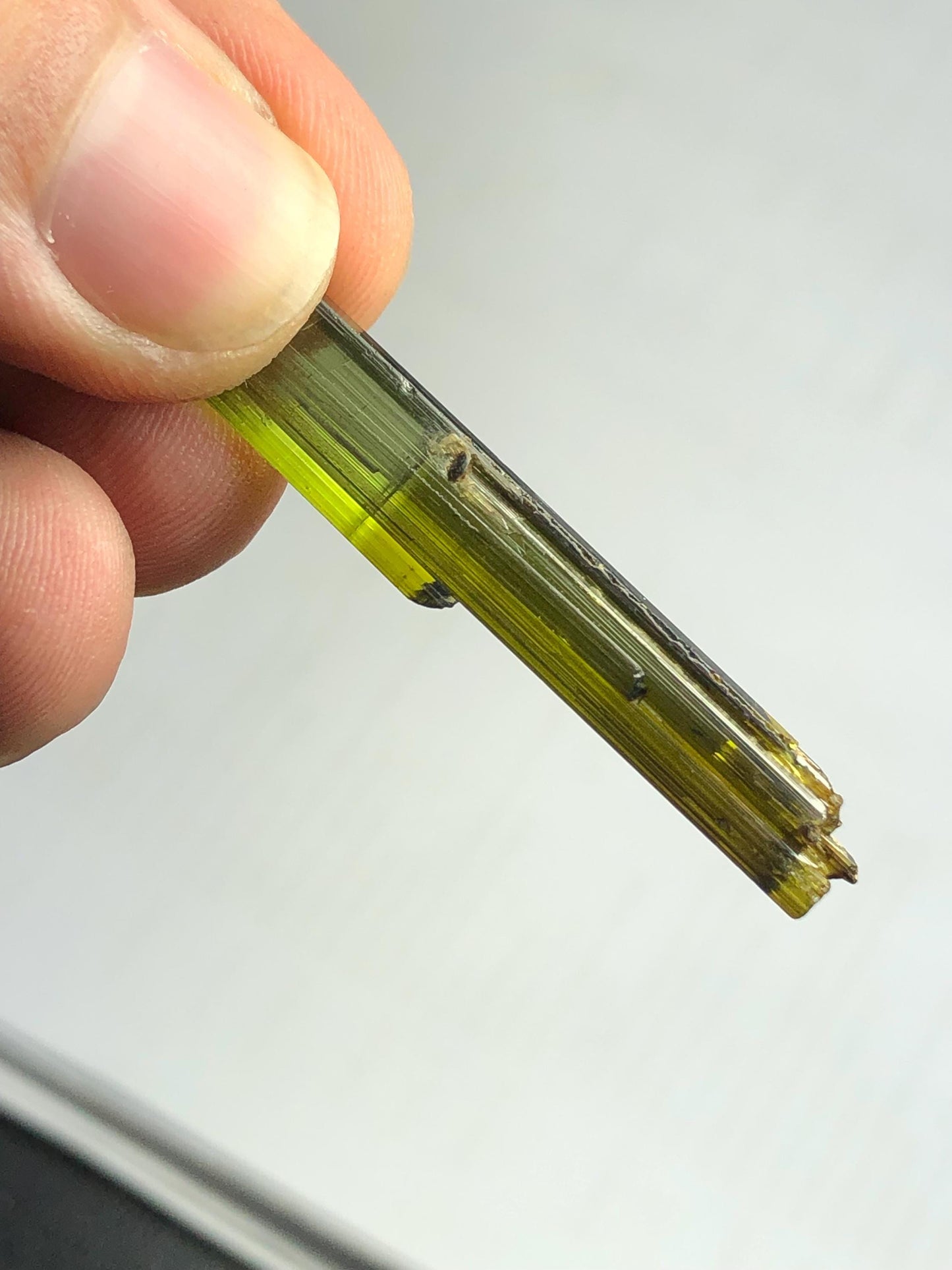 Olive Green Tourmaline Crystal 20 ct – Natural Terminated Gemstone