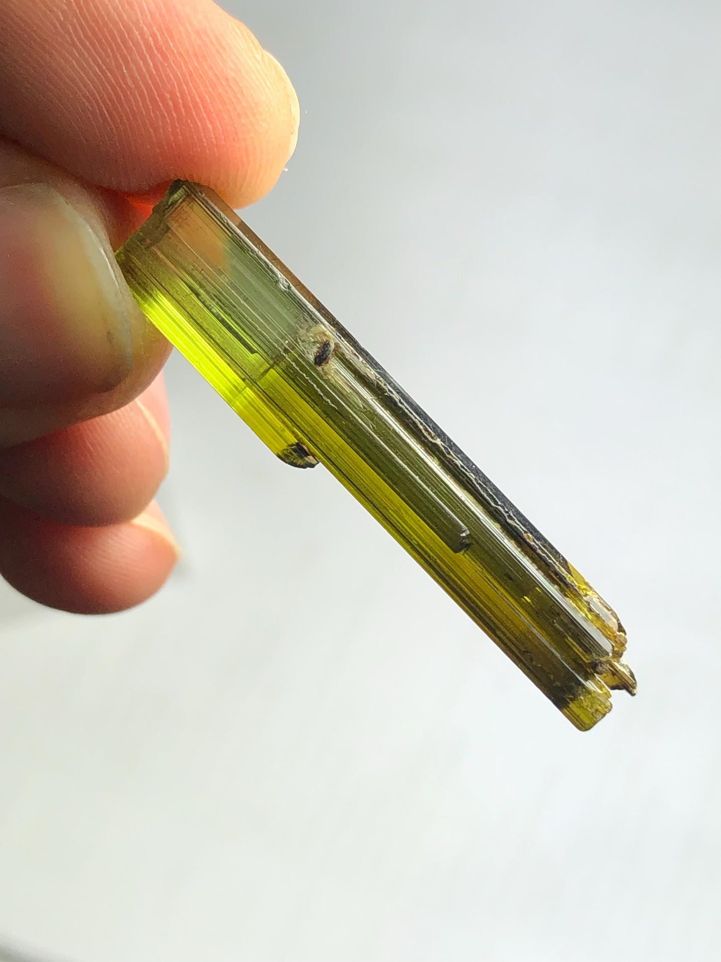 Olive Green Tourmaline Crystal 20 ct – Natural Terminated Gemstone