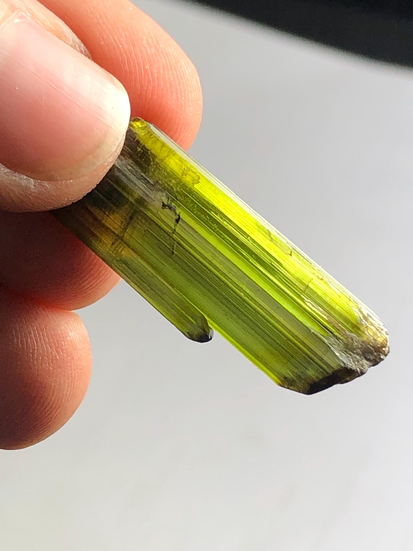 Olive Green Tourmaline Crystal 20 ct – Rare Afghan Collector Gem
