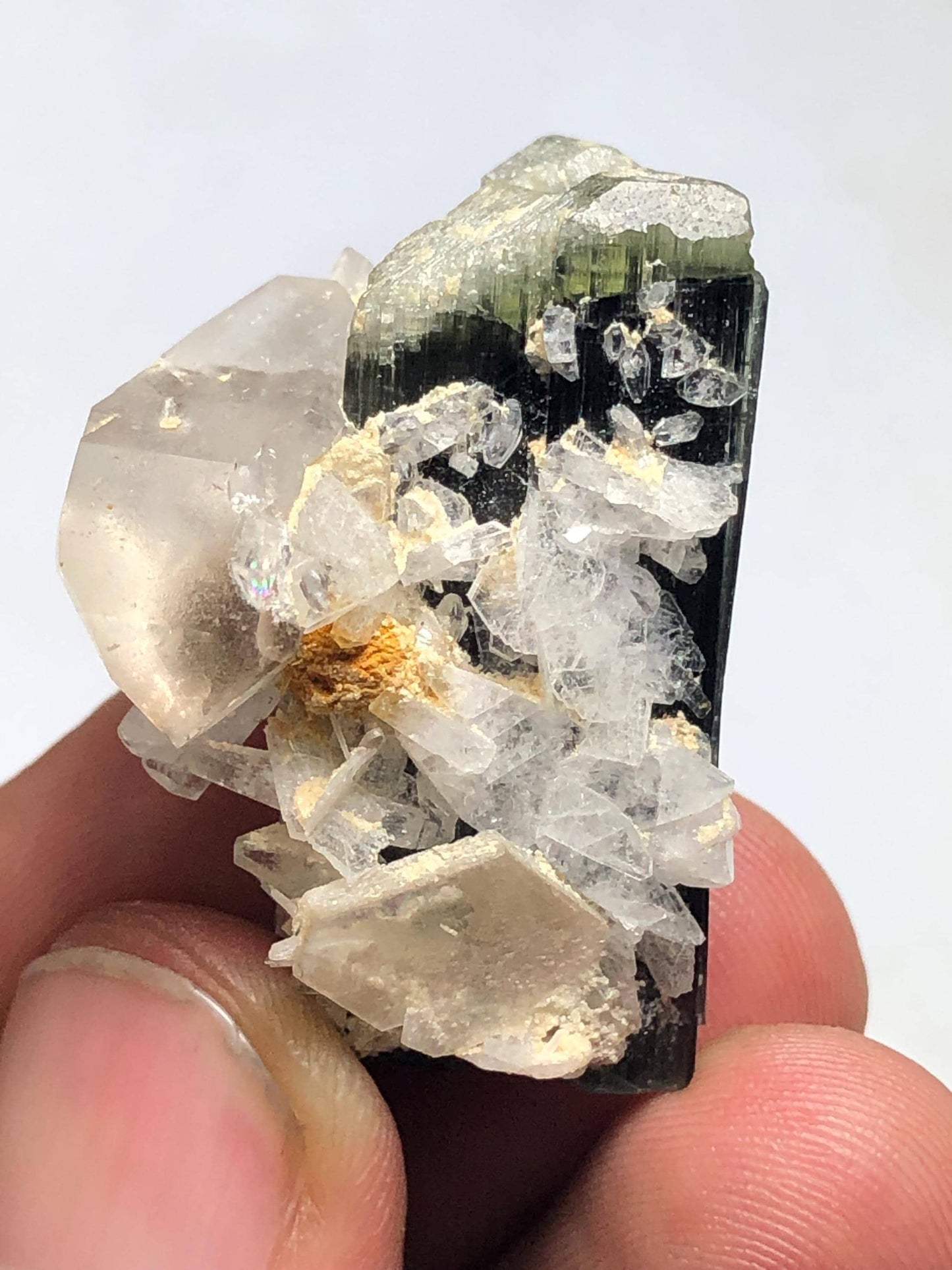 Tourmaline Crystal 70.60 ct - Terminated Specimen with Quartz