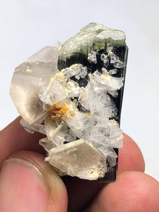 Tourmaline Crystal 70.60 ct - Terminated Specimen with Quartz