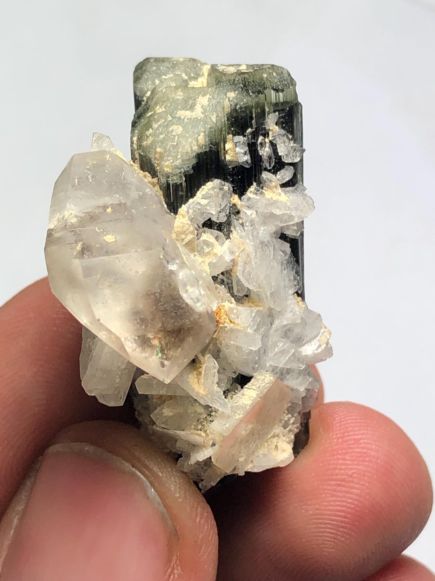 Tourmaline Crystal 70.60 ct - Terminated Specimen with Quartz