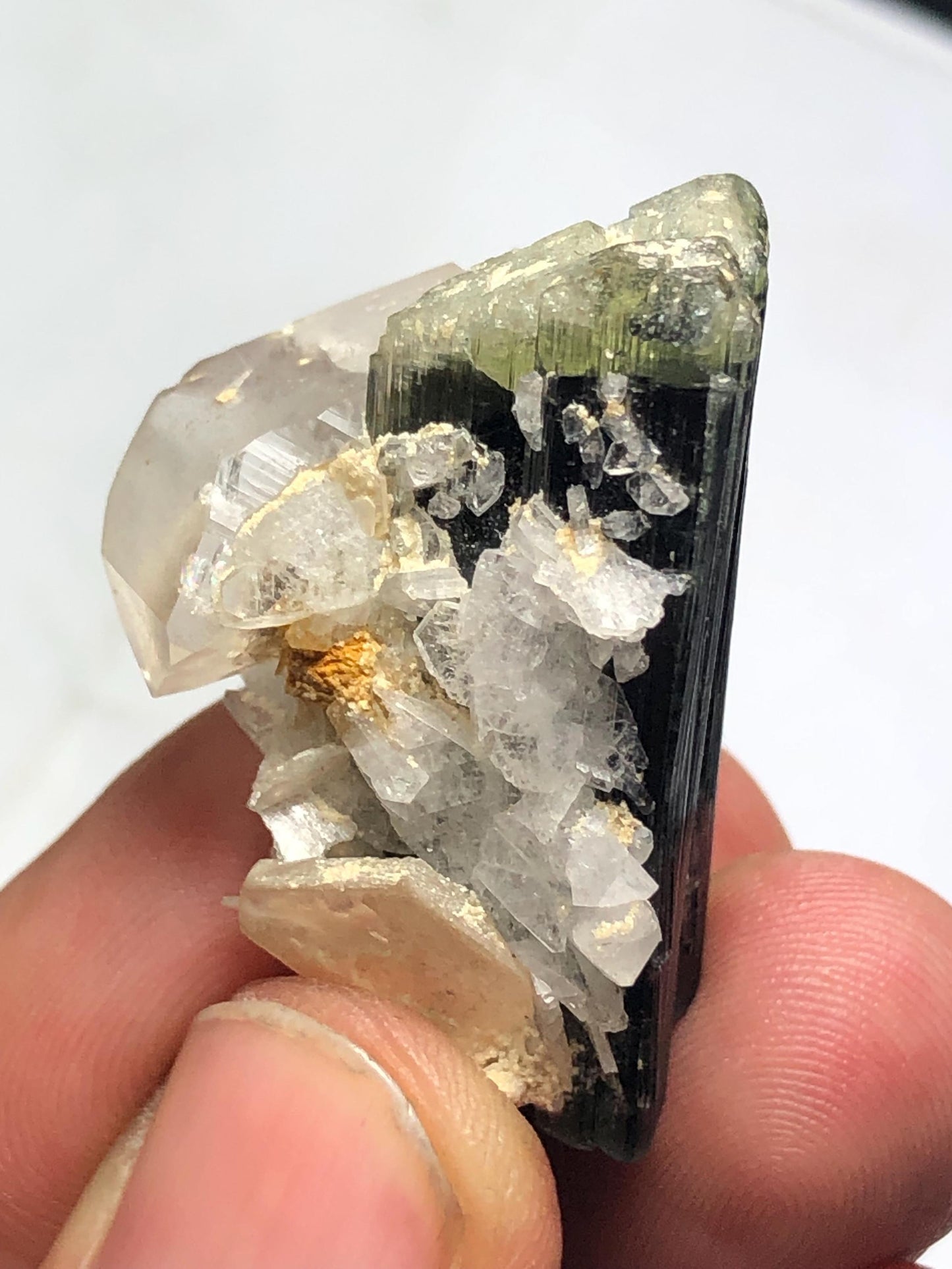 Tourmaline Crystal 70.60 ct - Terminated Specimen with Quartz