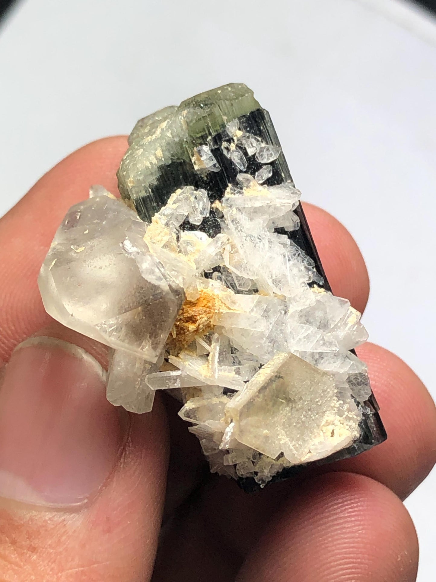 Tourmaline Crystal 70.60 ct - Terminated Specimen with Quartz