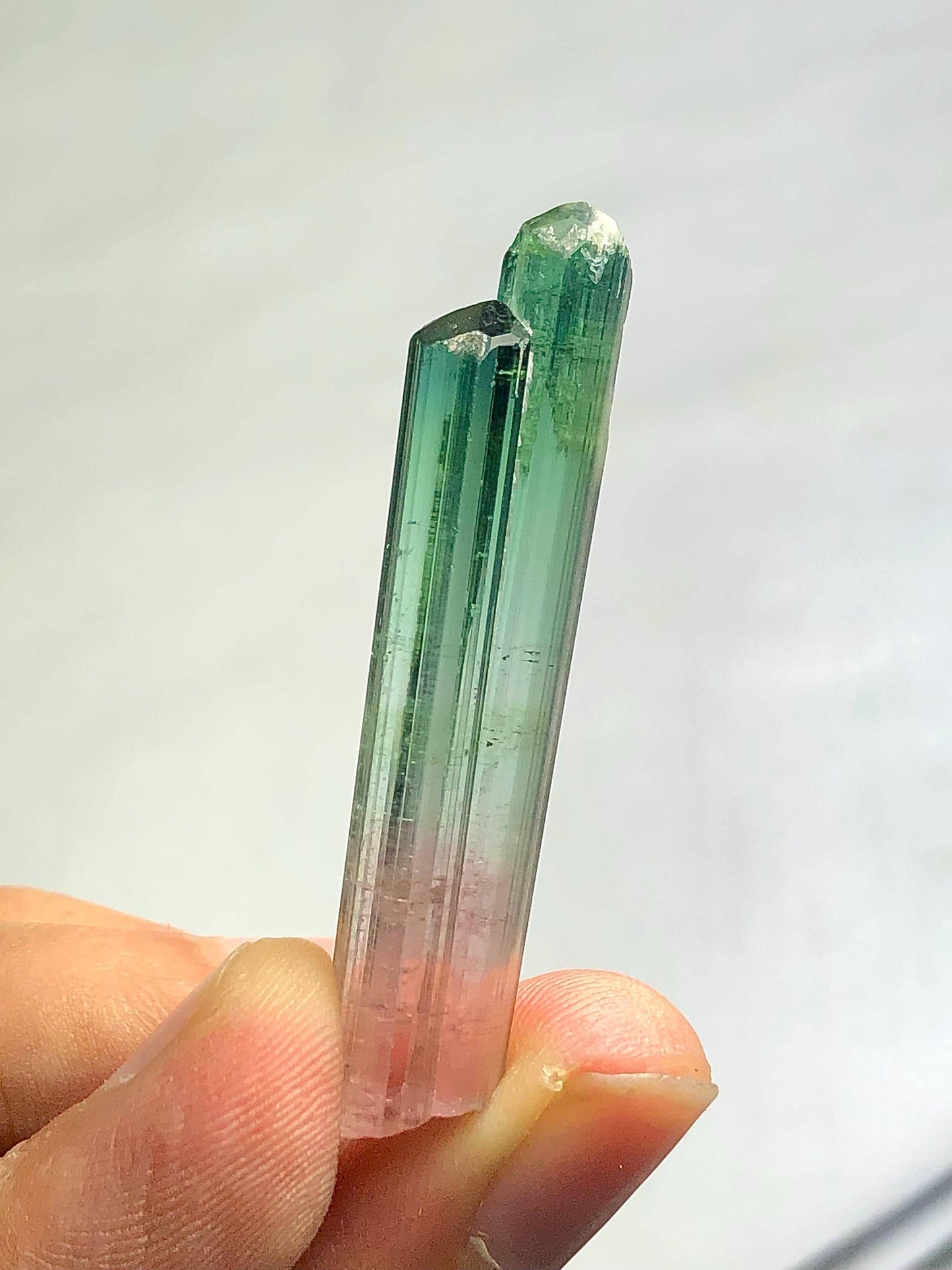 Bi Colour Tourmaline Crystal 35.80 ct - Terminated Collector Piece from Afghanistan