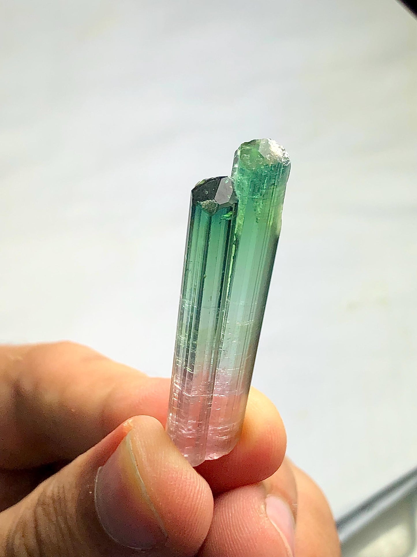 Bi Colour Tourmaline Crystal 35.80 ct - Terminated Collector Piece from Afghanistan
