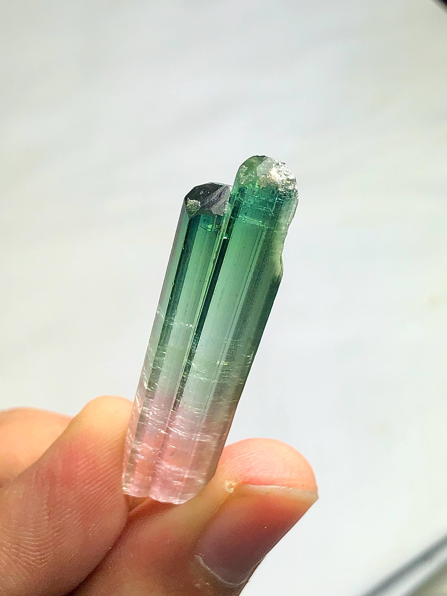 Bi Colour Tourmaline Crystal 35.80 ct - Terminated Collector Piece from Afghanistan