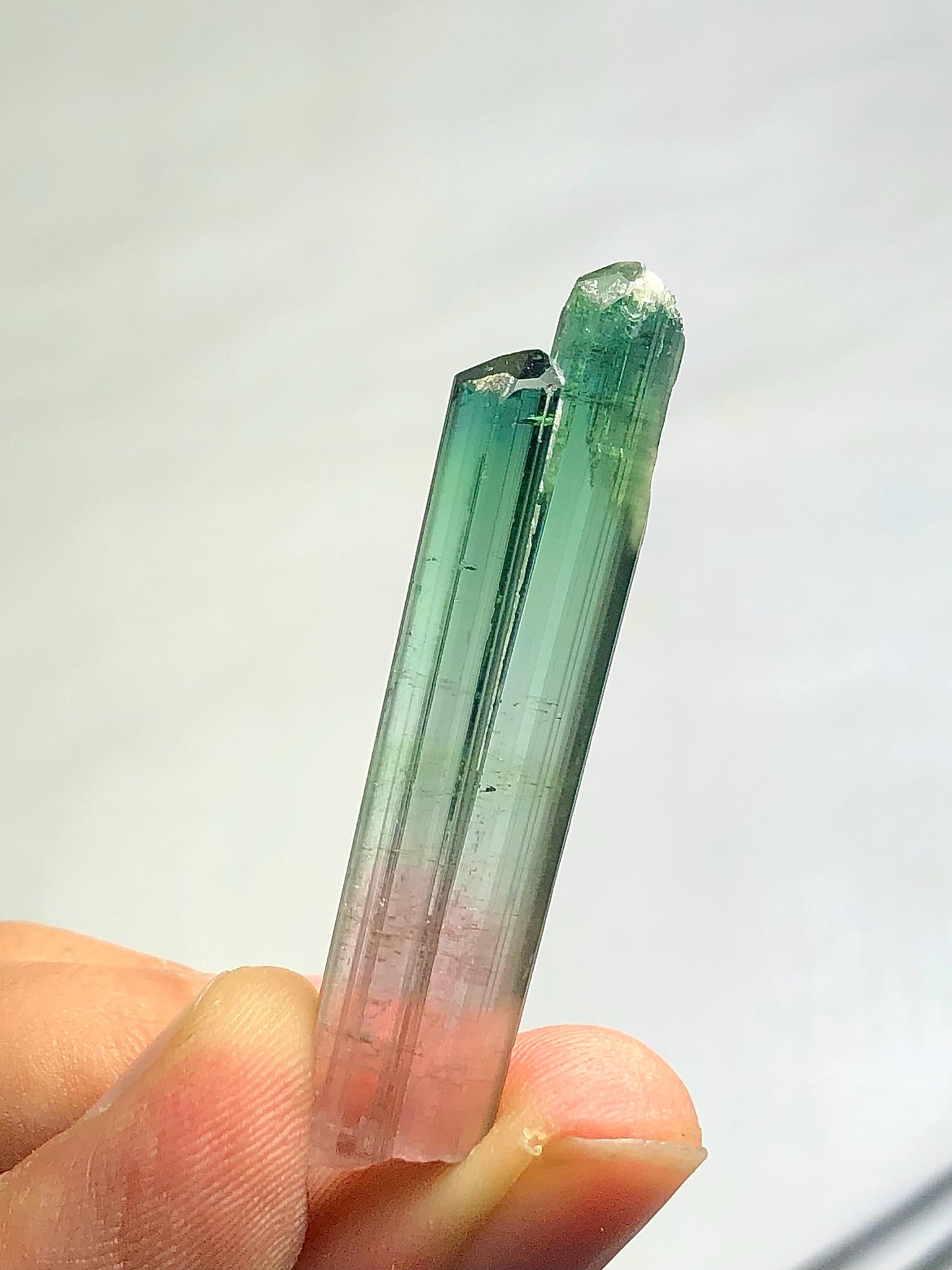 Bi Colour Tourmaline Crystal 35.80 ct - Terminated Collector Piece from Afghanistan