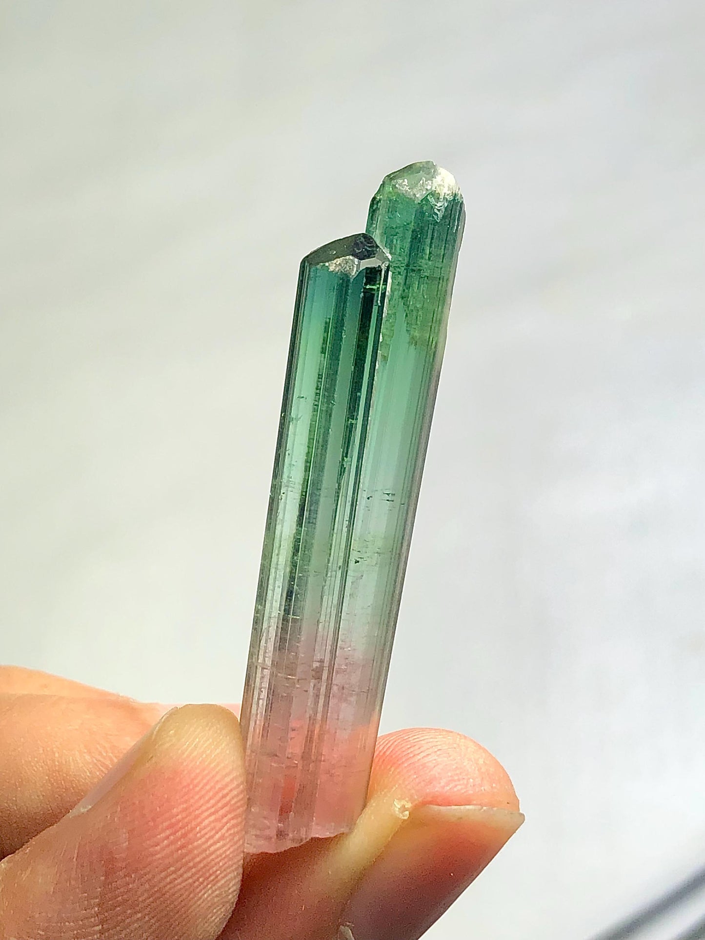 Bi Colour Tourmaline Crystal 35.80 ct - Terminated Collector Piece from Afghanistan