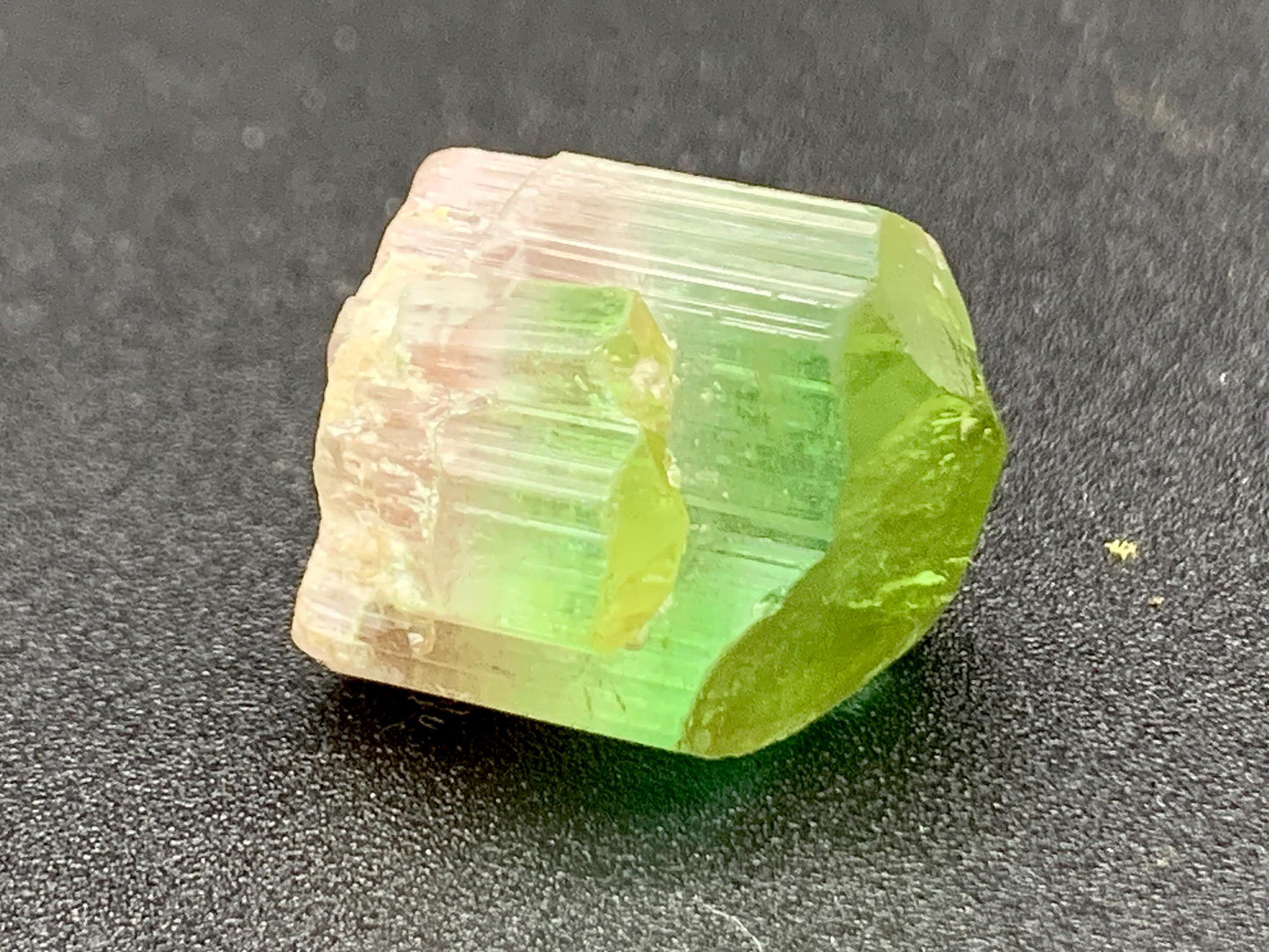 Bi Colour Tourmaline Crystal 36 ct - Natural Afghan Collector Specimen