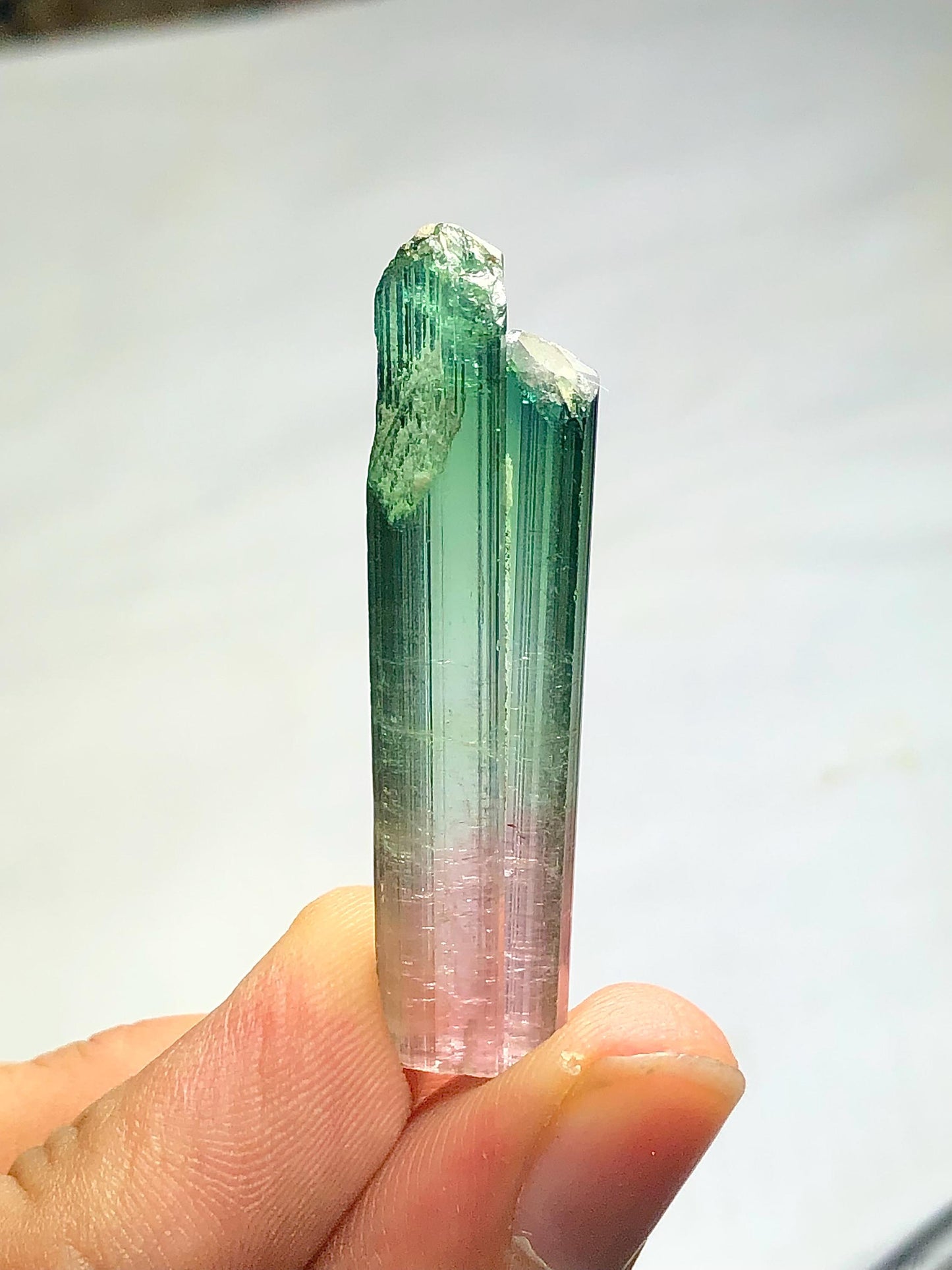 Bi Colour Tourmaline Crystal 35.80 ct - Terminated Collector Piece from Afghanistan