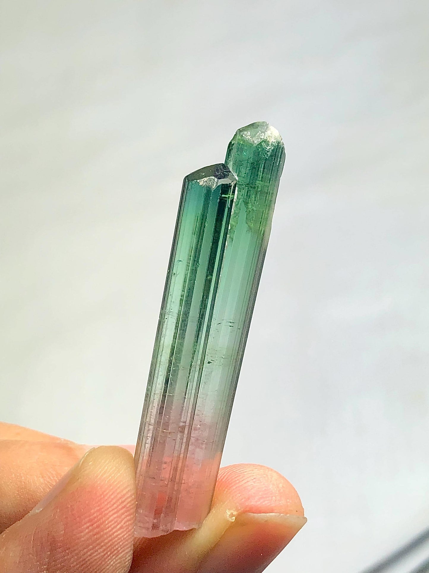 Bi Colour Tourmaline Crystal 35.80 ct - Terminated Collector Piece from Afghanistan