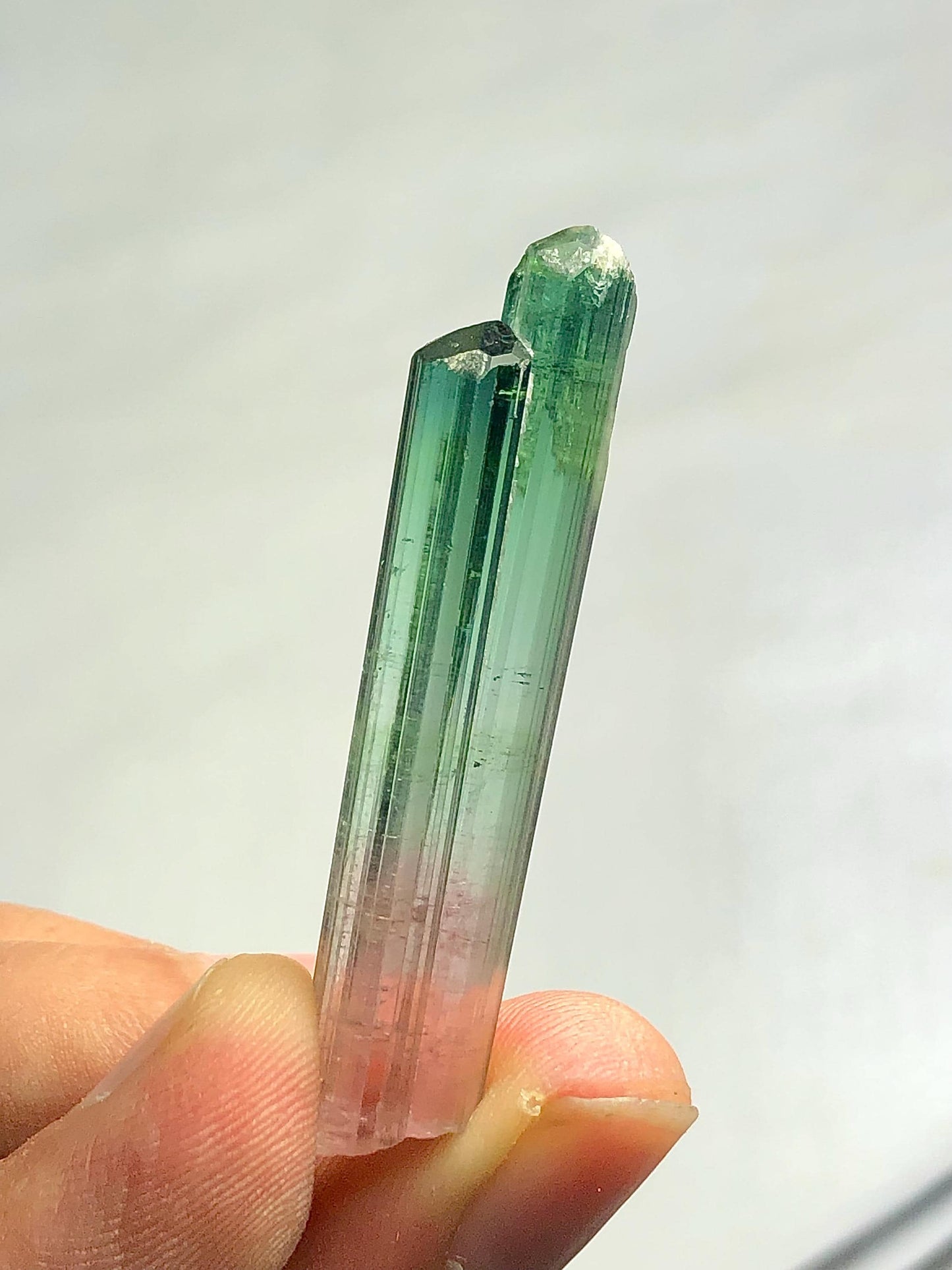 Bi Colour Tourmaline Crystal 35.80 ct - Terminated Collector Piece from Afghanistan