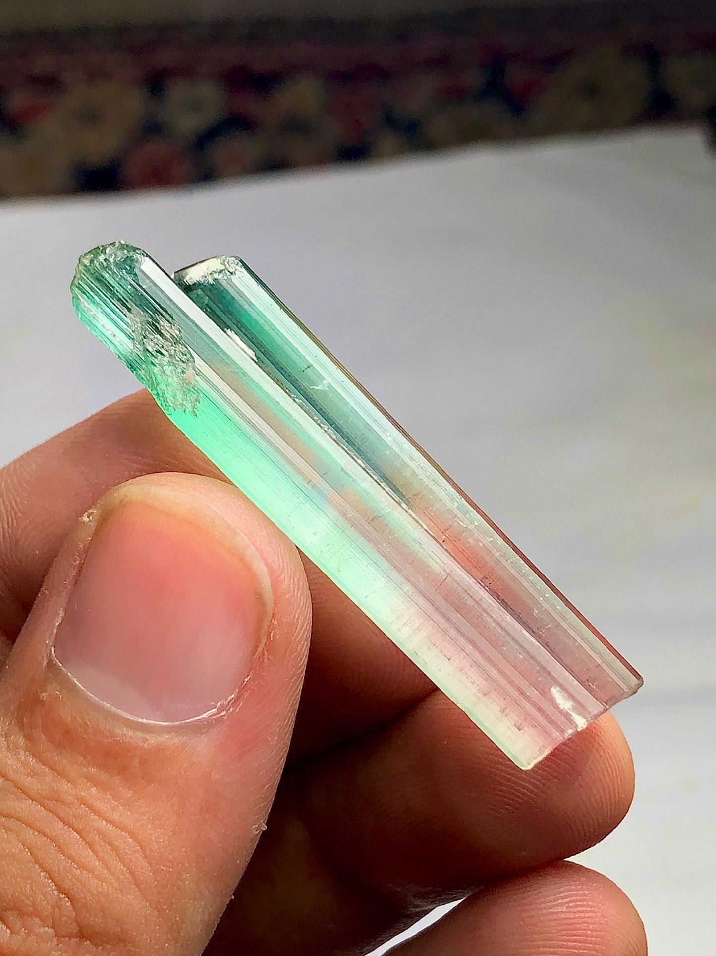 Bi Colour Tourmaline Crystal 35.80 ct - Terminated Collector Piece from Afghanistan