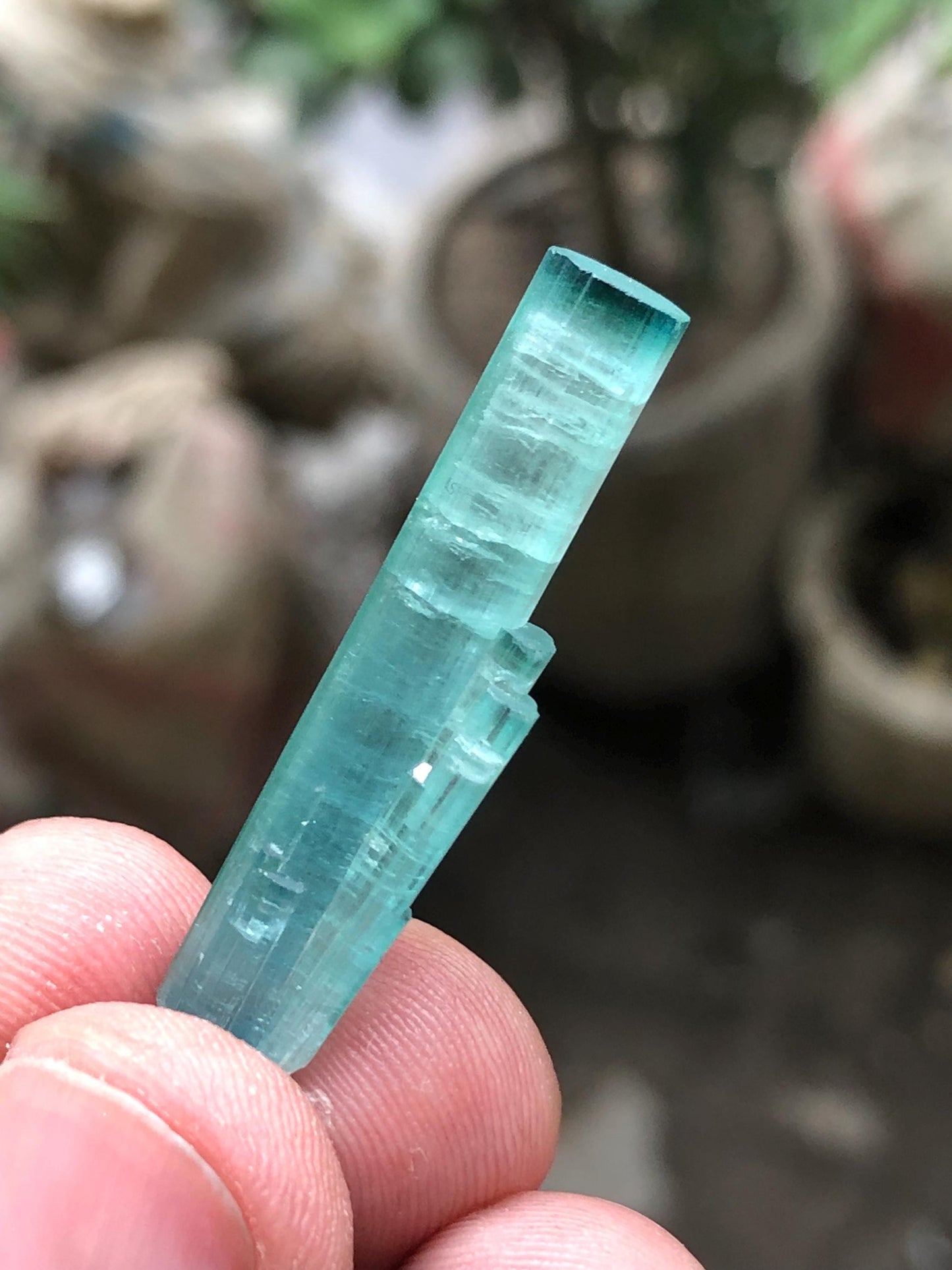 Bi Colour Tourmaline Crystal 18.70 ct - Terminated Afghan Specimen